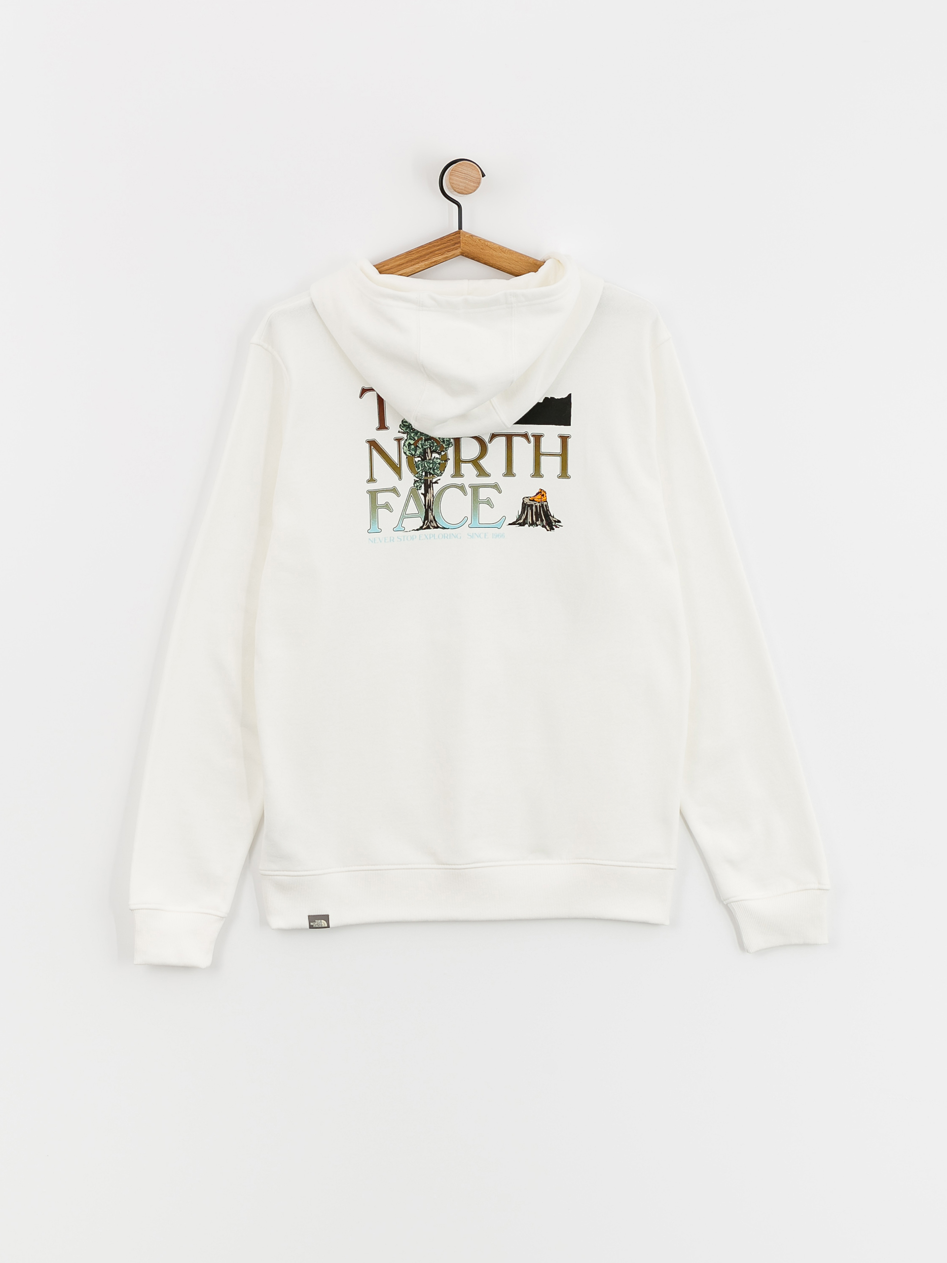 The North Face Seasonal Graphic HD Kapucnis pulóver (gardeniawhite/brndybrwn)