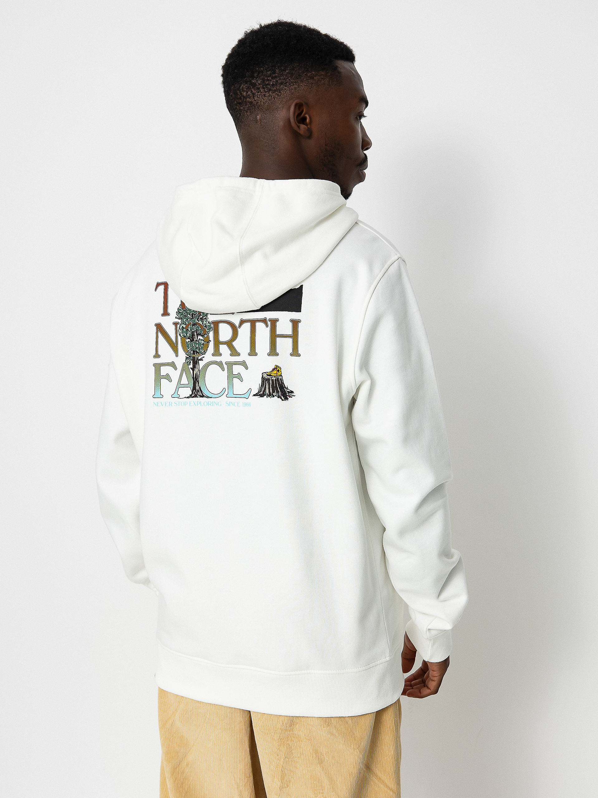 The North Face Seasonal Graphic HD Kapucnis pulóver (gardeniawhite/brndybrwn)