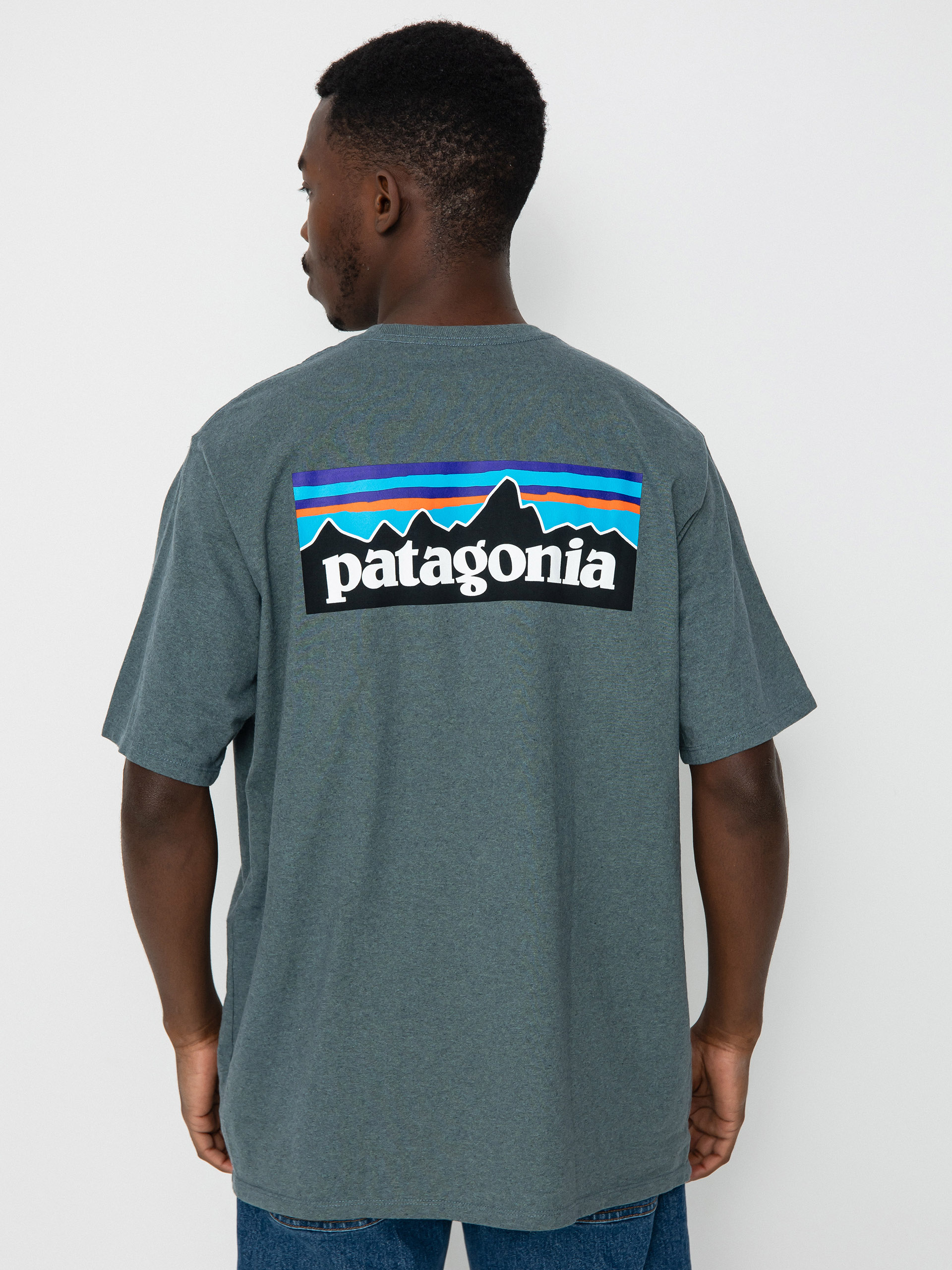 Patagonia P 6 Logo Responsibili Póló (nouveau green)