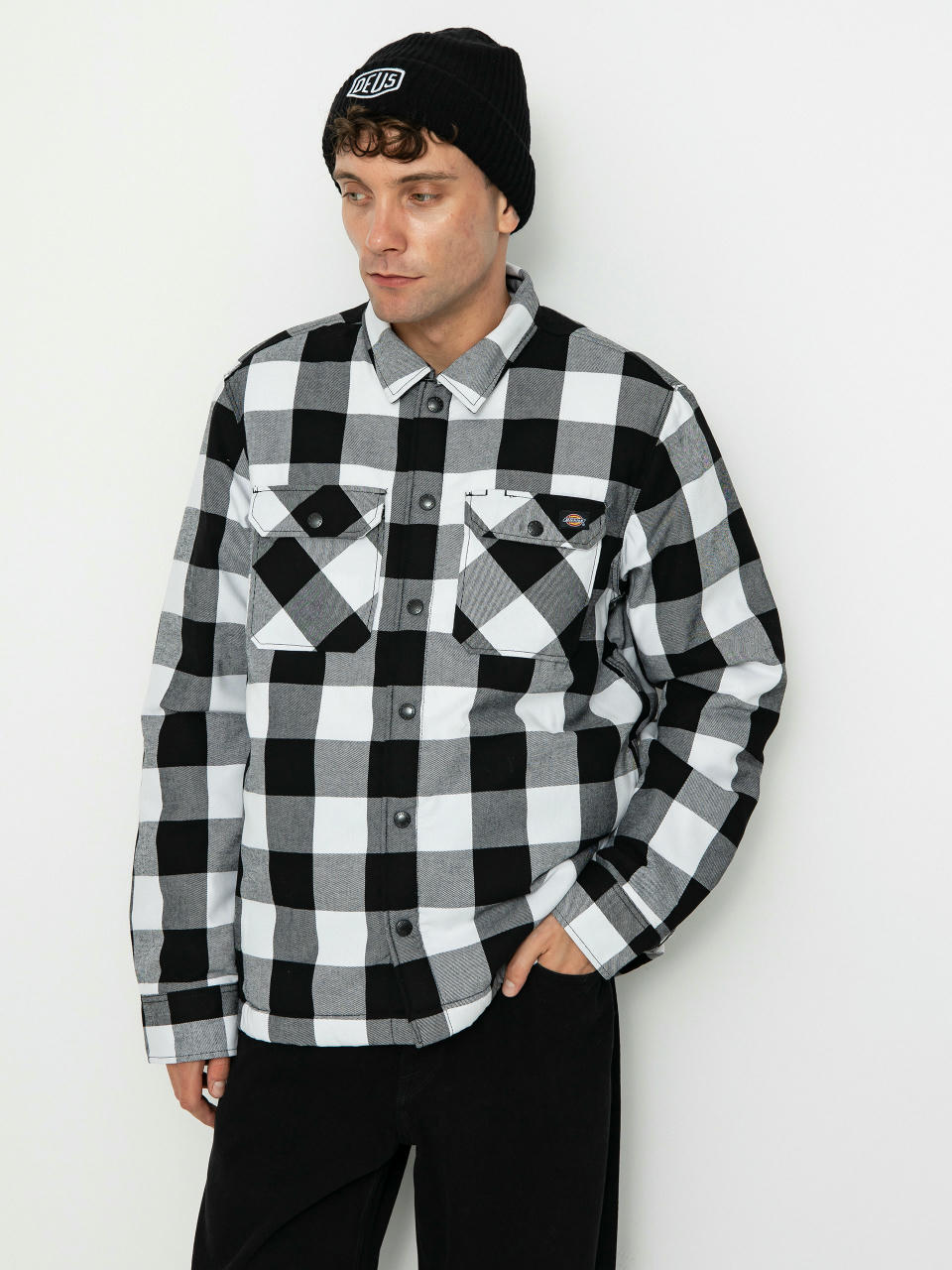 Dickies Lined Sacramento Ing (black)