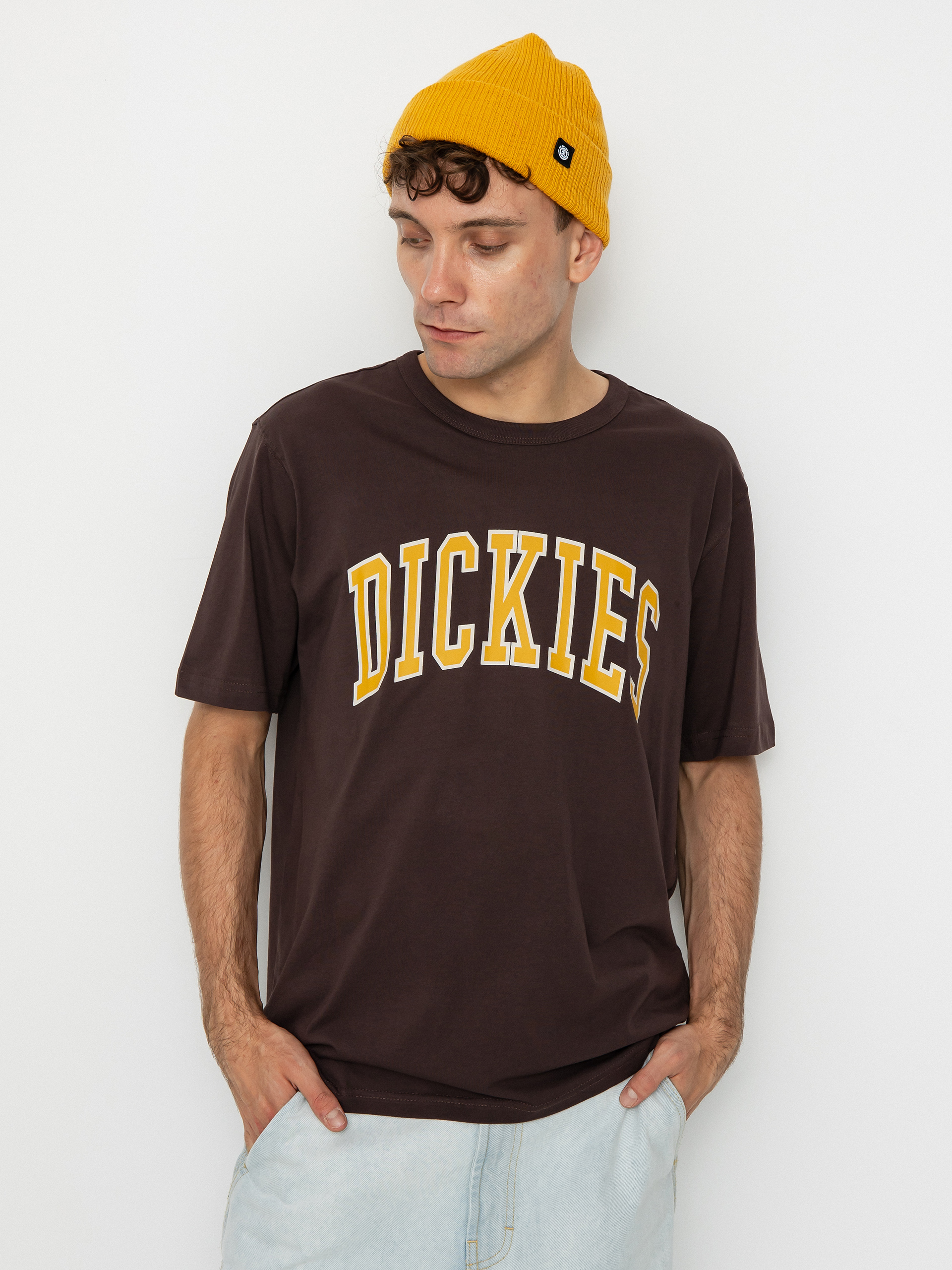 Dickies Aitkin Póló (java)