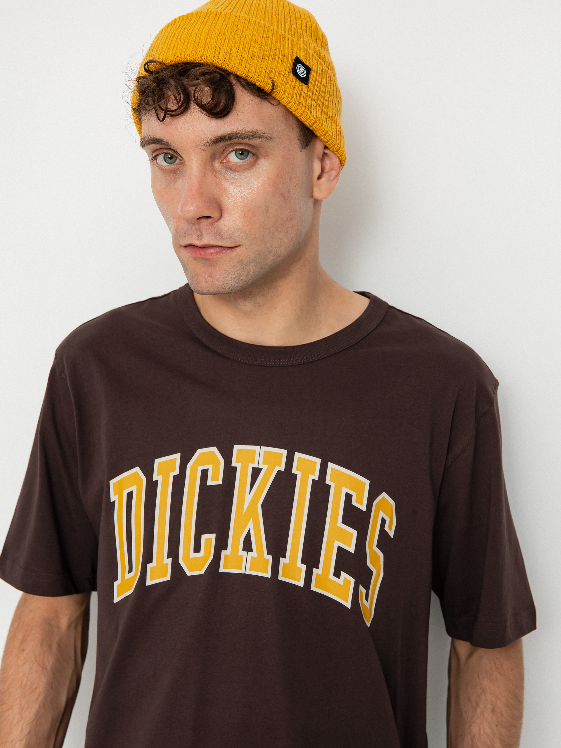 Dickies Aitkin Póló (java)