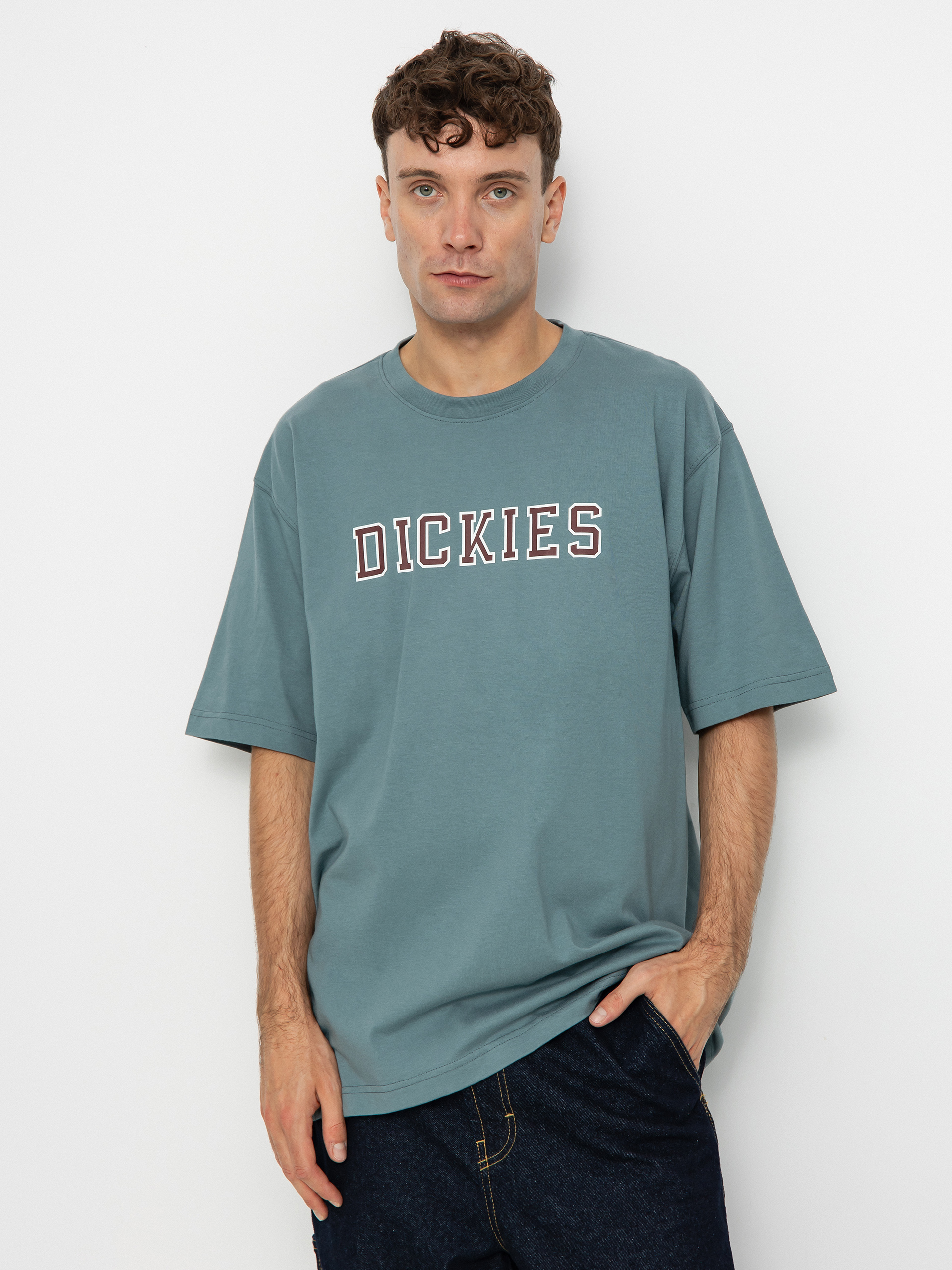 Dickies Melvern Póló (trooper)