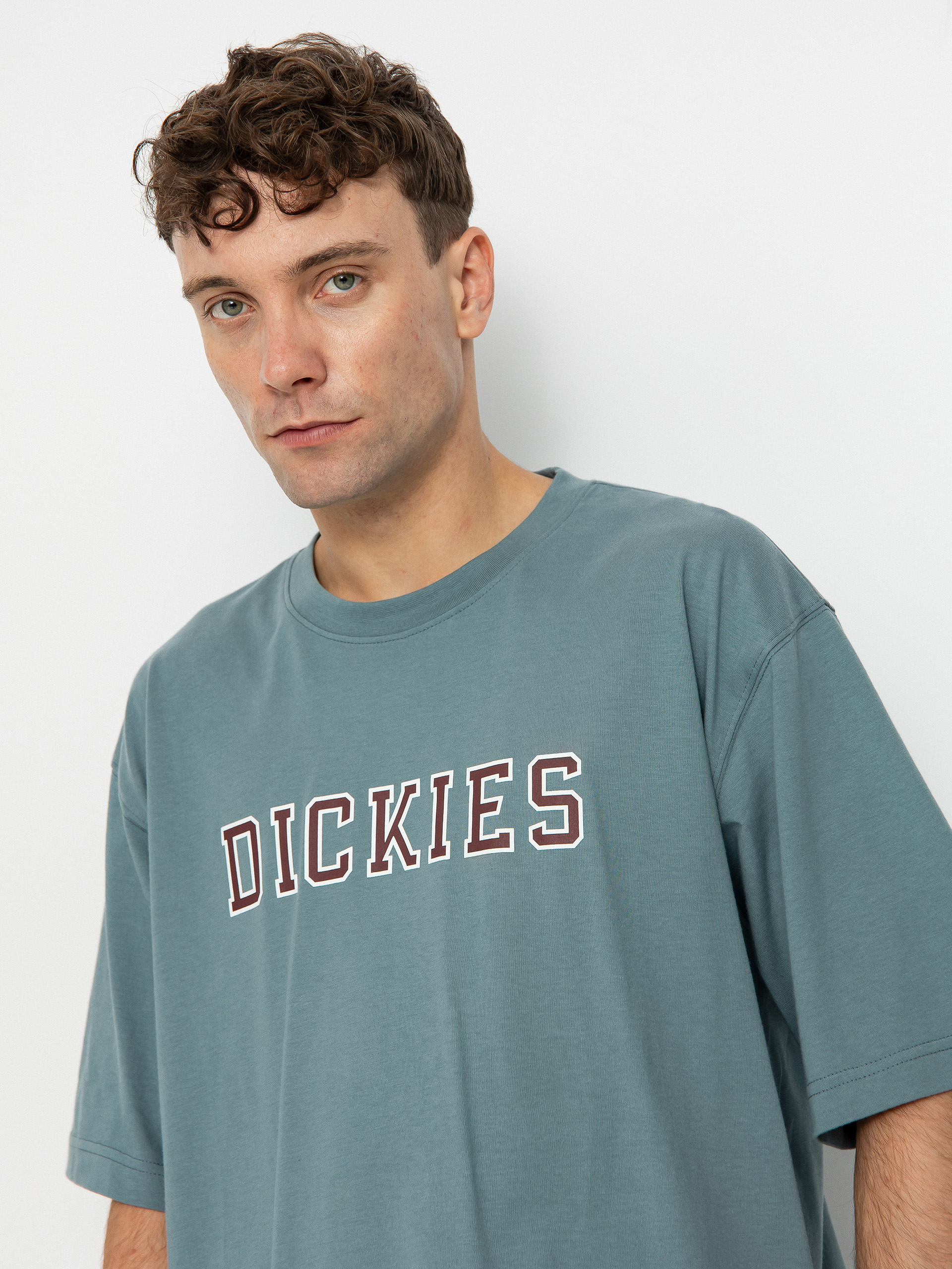 Dickies Melvern Póló (trooper)