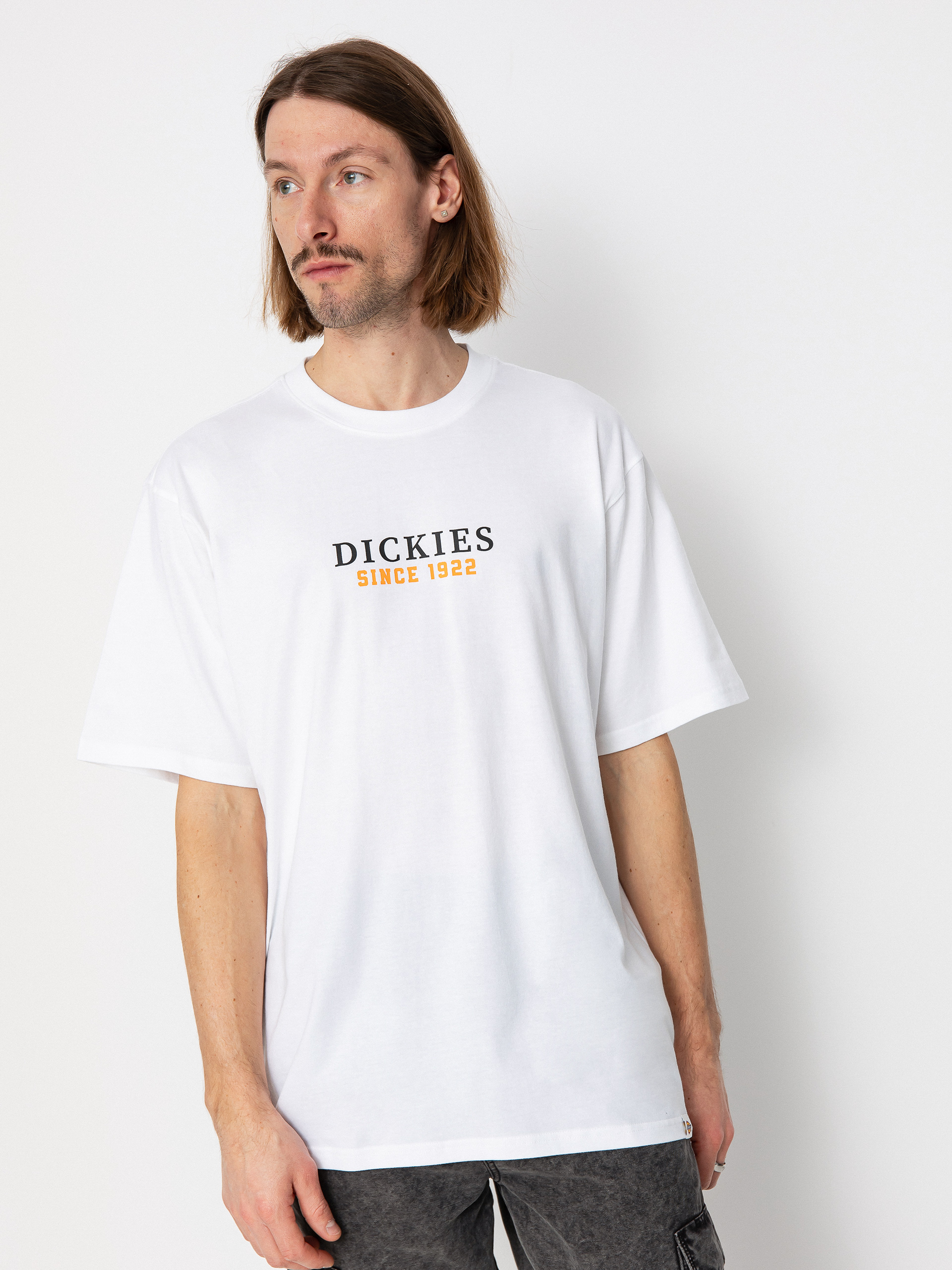 Dickies Park Póló (white/pale green)