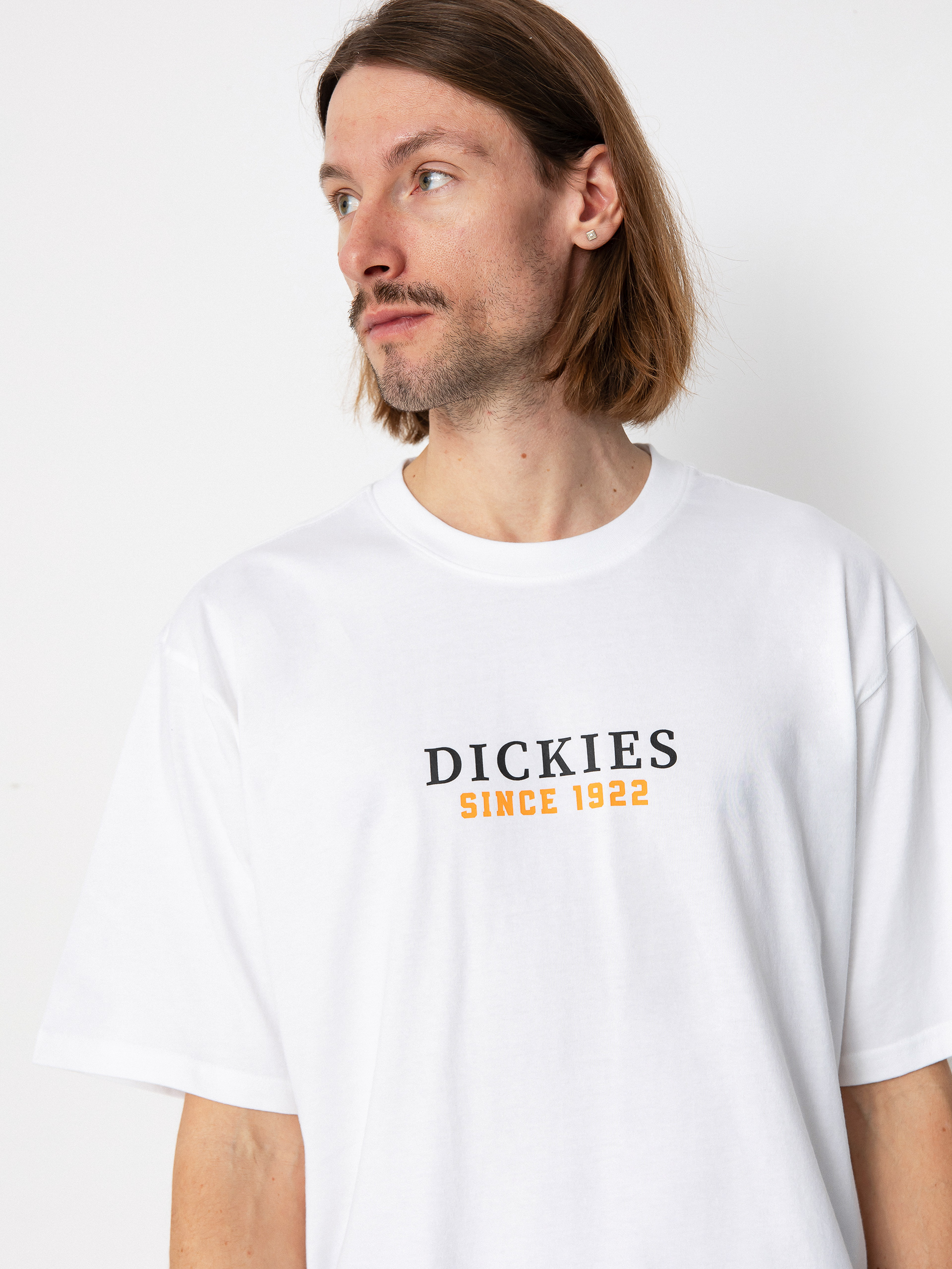 Dickies Park Póló (white/pale green)