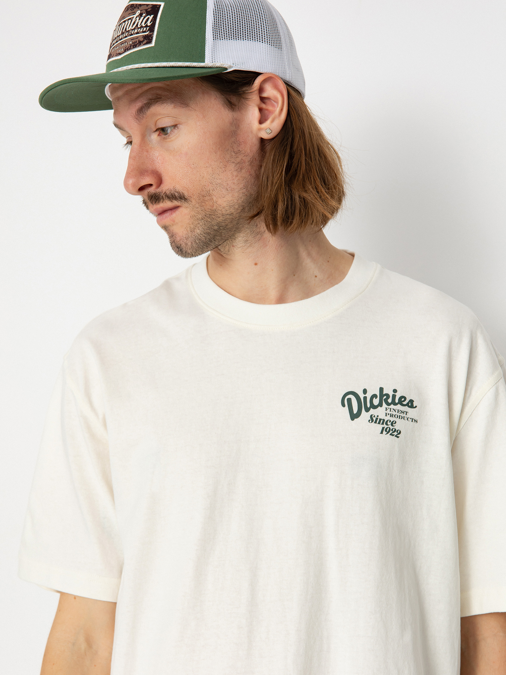 Dickies Raven Póló (cloud)