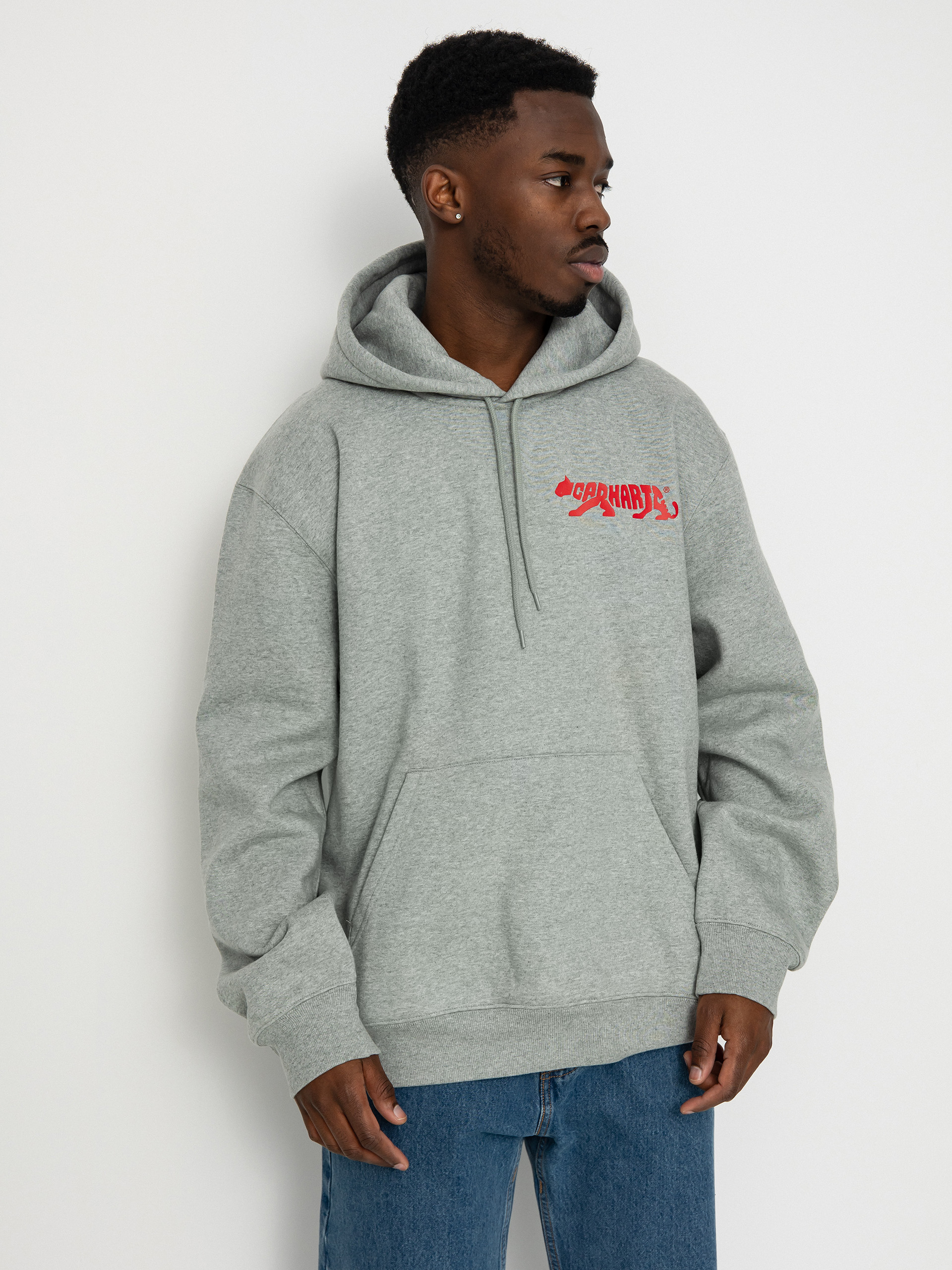 Carhartt WIP Rocky Script HD Kapucnis pulóver (grey heather)