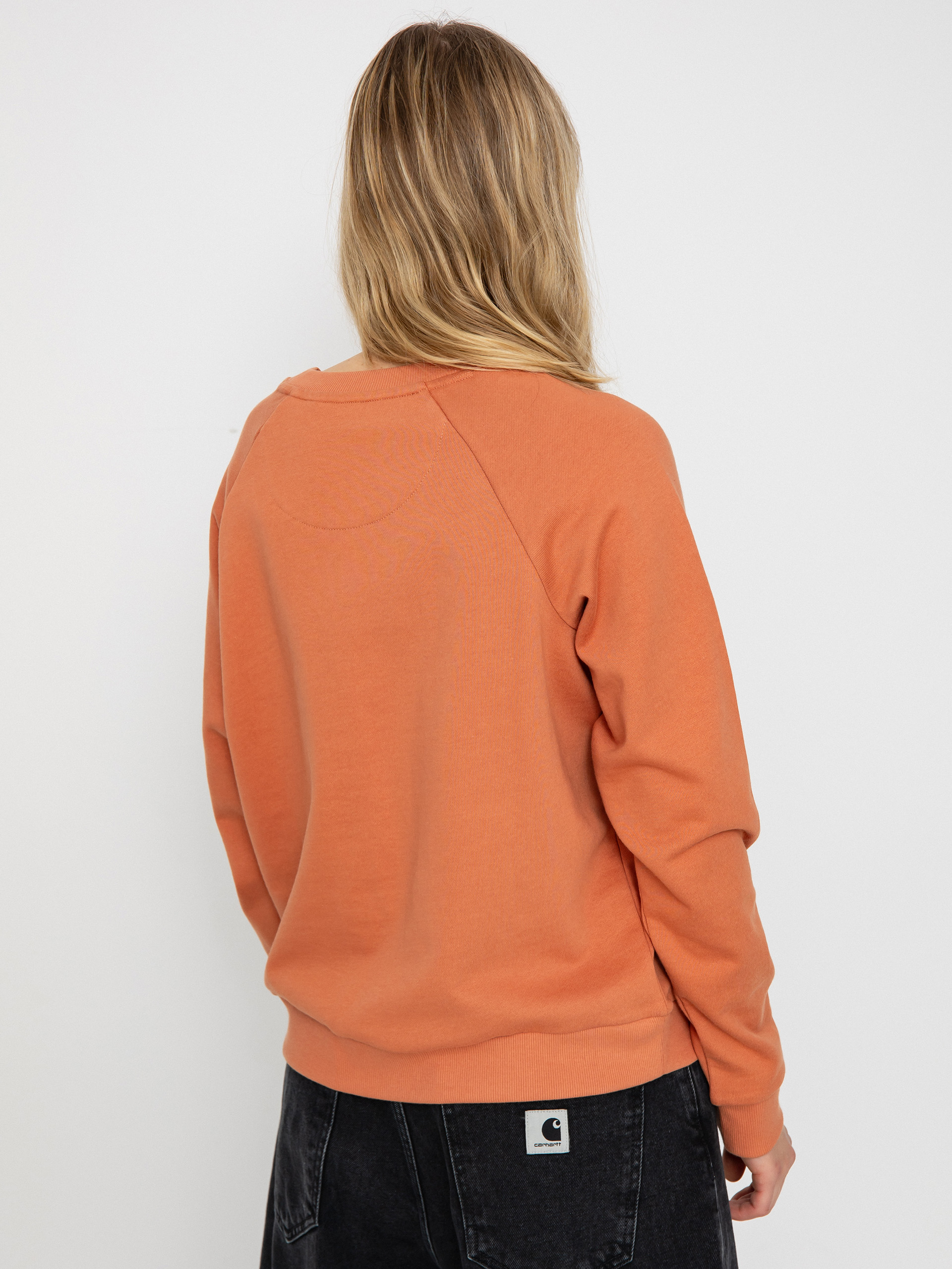 Pulóver Patagonia Regenerative Organic Certified Cotton Essential Wmn (sienna clay)