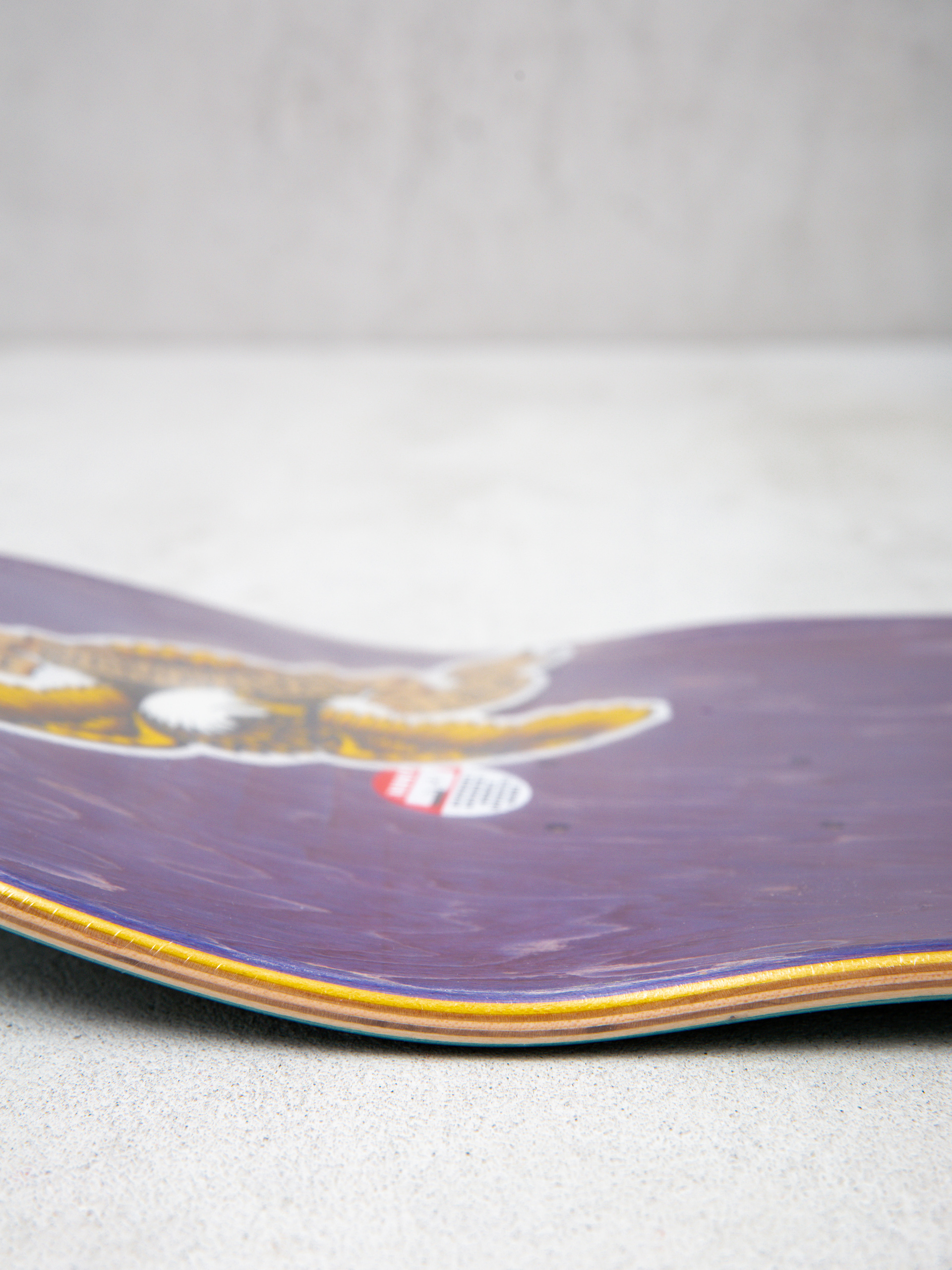 Gördeszka lap Antihero Doobie No Regerts (teal)