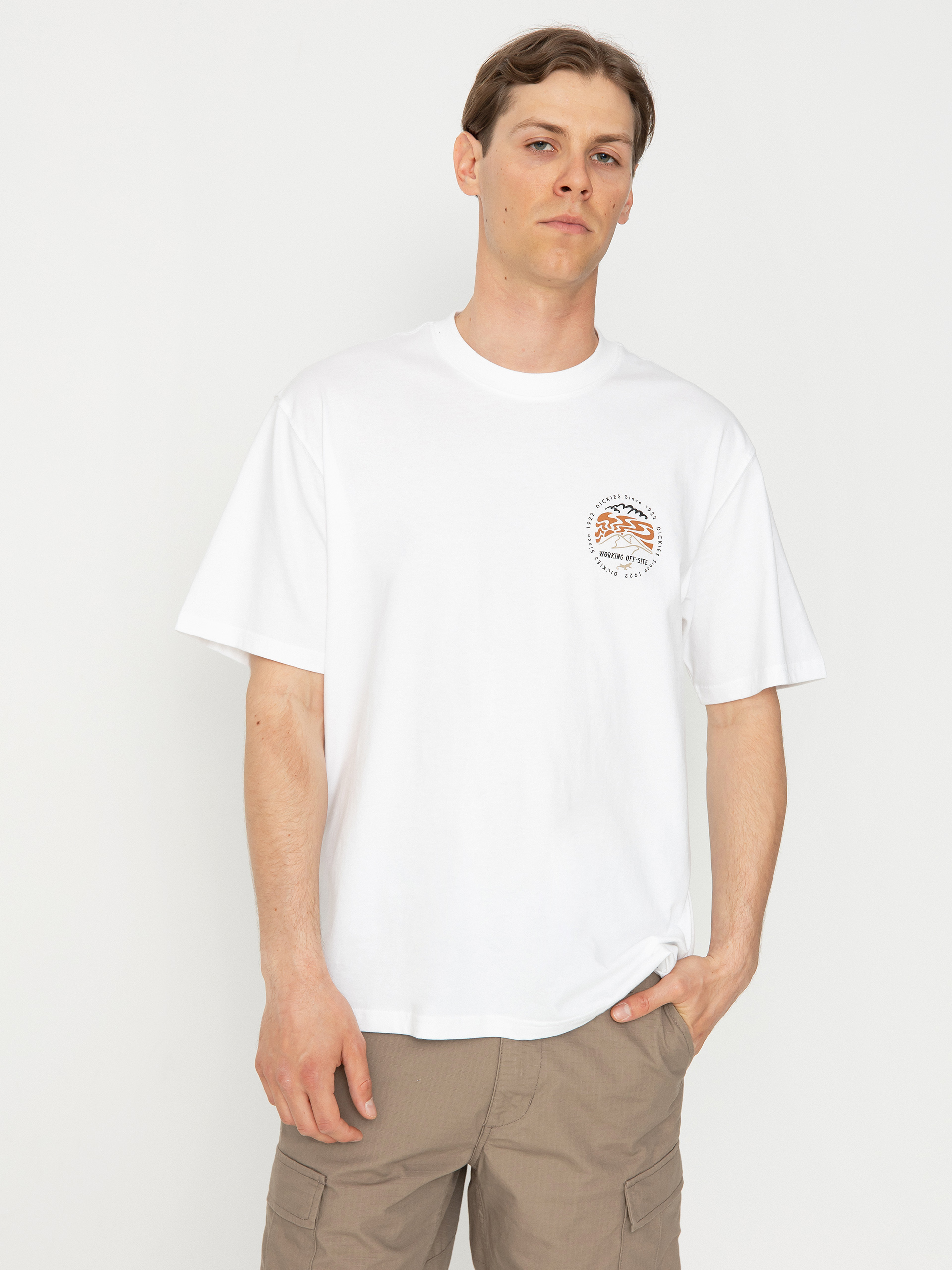Dickies Stanardsville Póló (white)