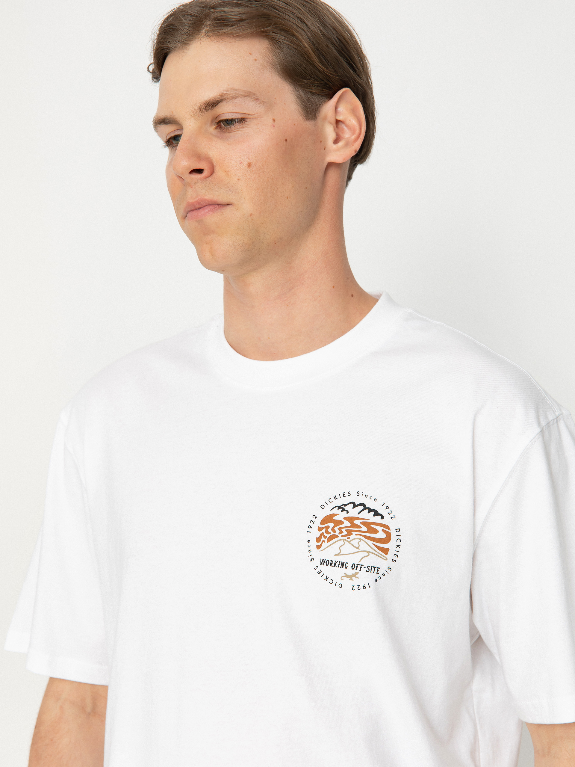 Dickies Stanardsville Póló (white)