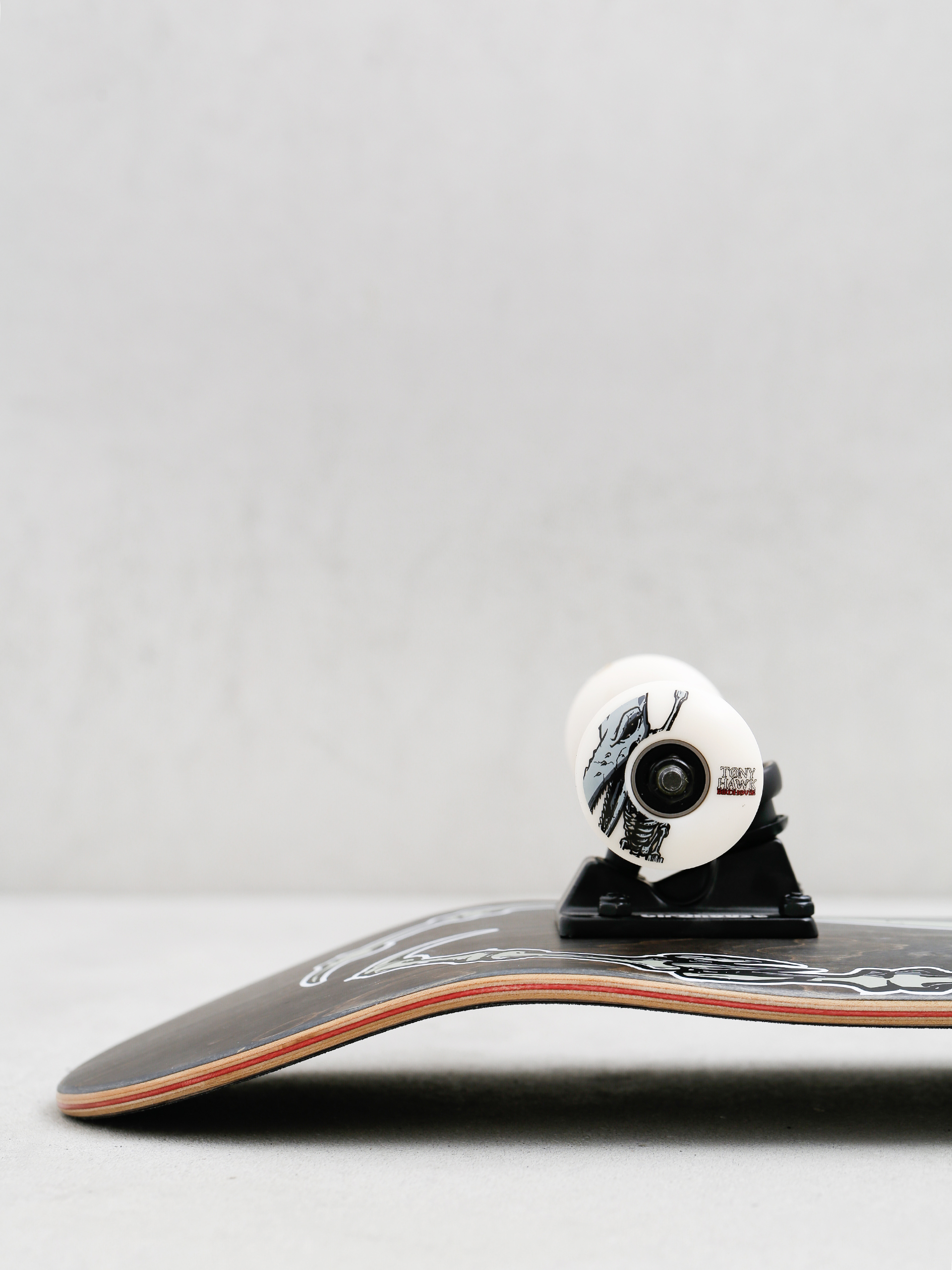 Birdhouse Hawk Pterodactyl Komplett gördeszka (black)