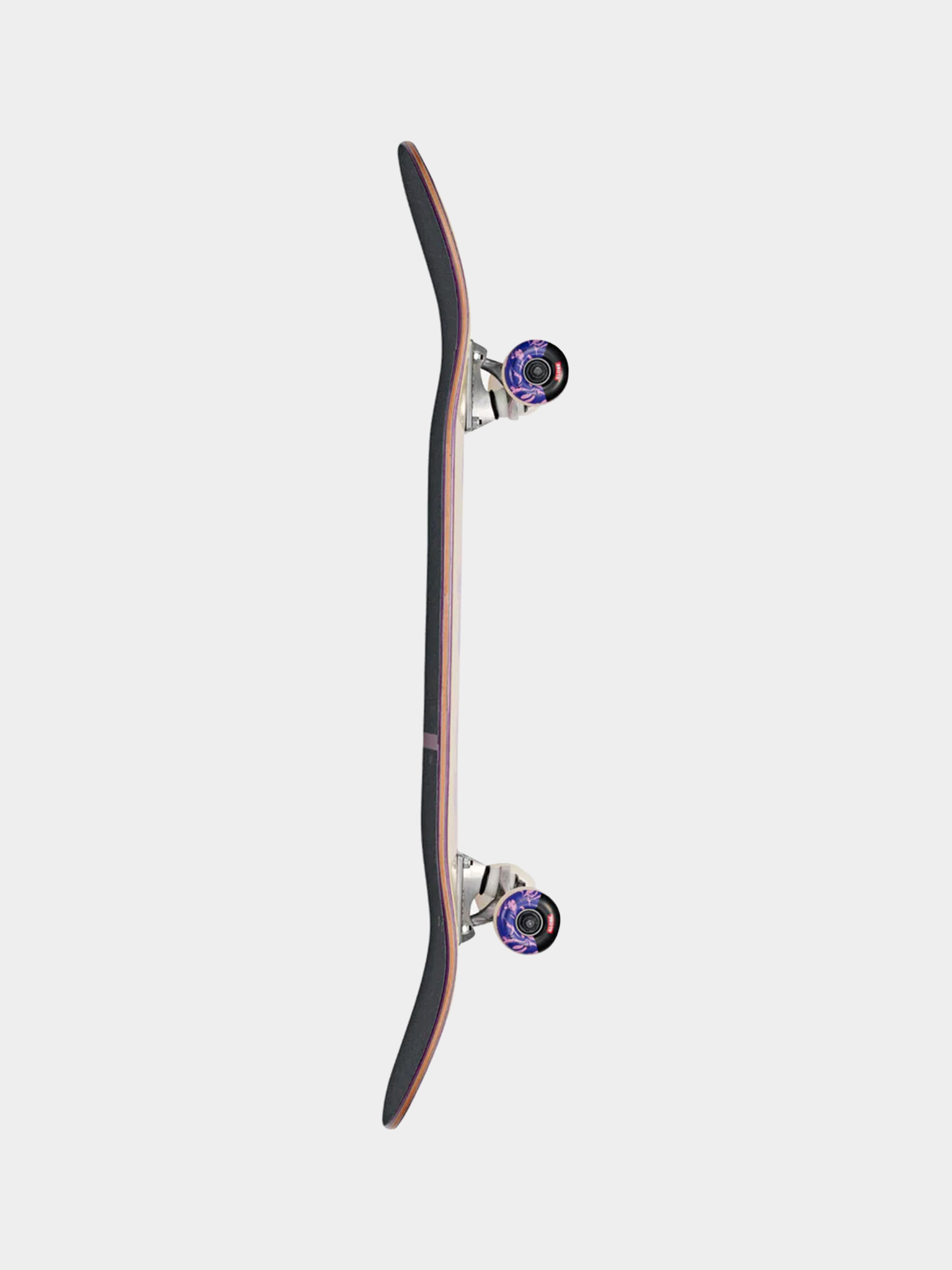 Komplett gördeszka Globe G1 Mind Expansion (off white/purple)