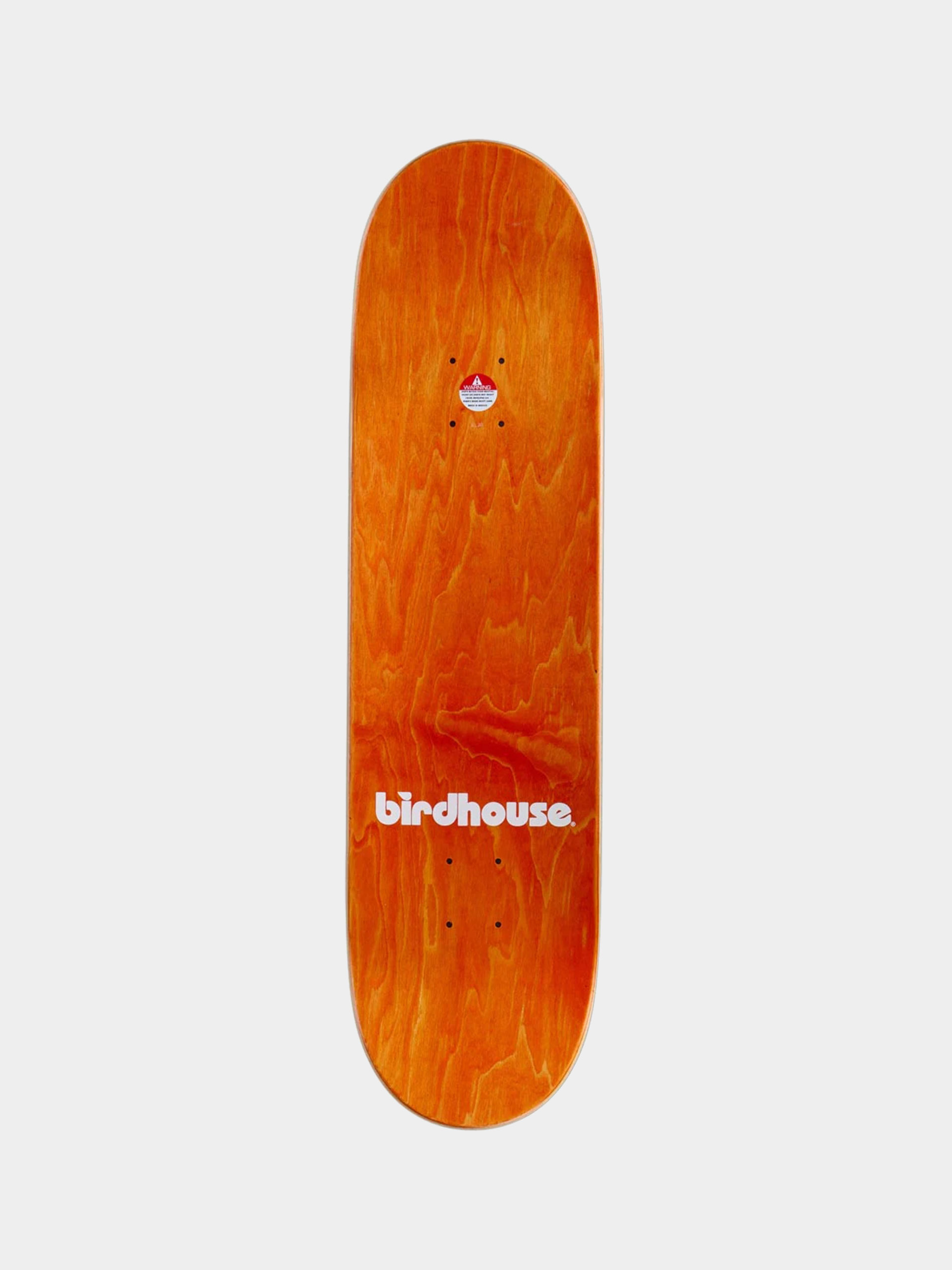 Gördeszka lap Birdhouse Sloan Second Life (multi)