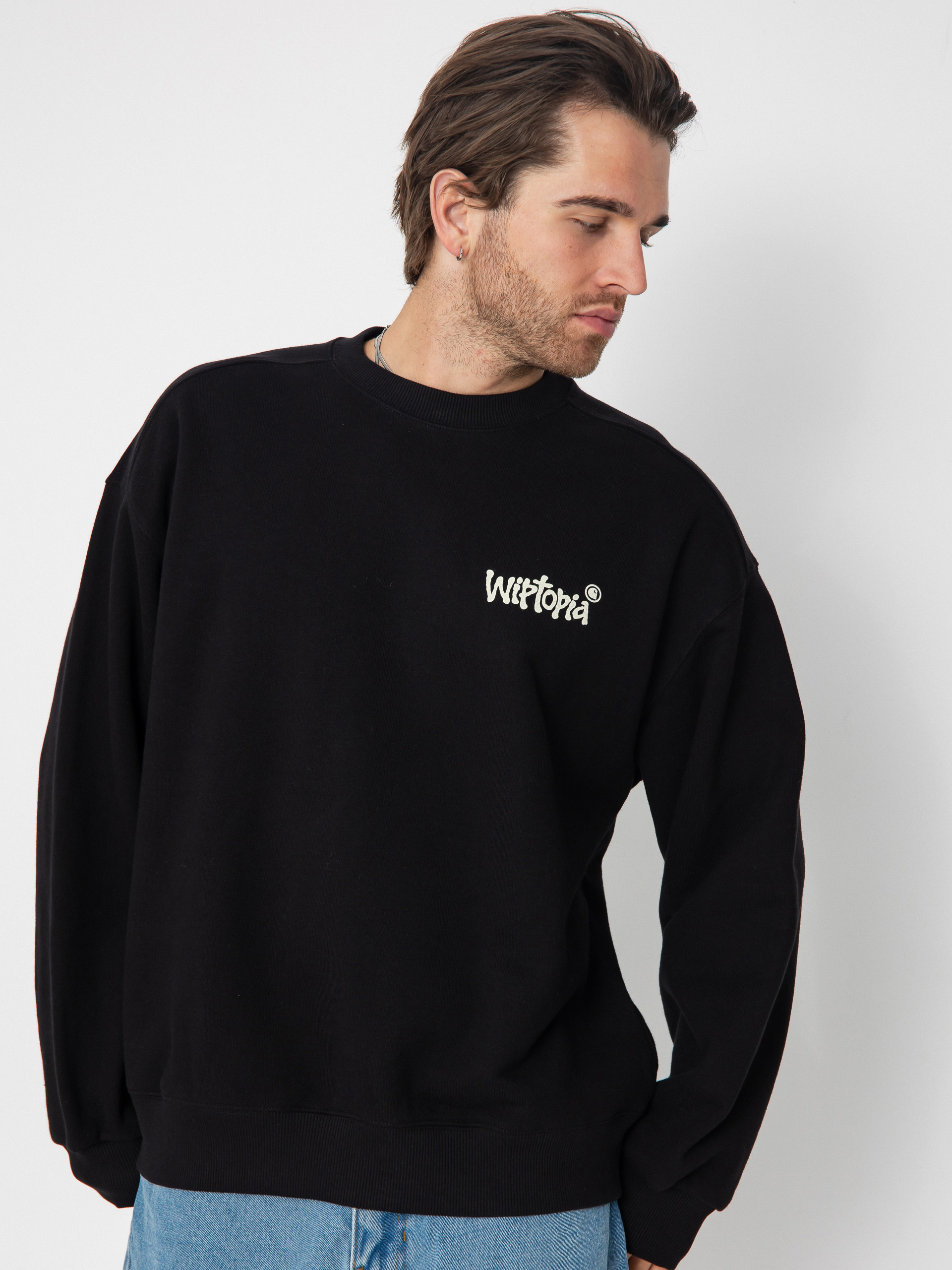 Carhartt WIP Wiptopia Pulóver (black)