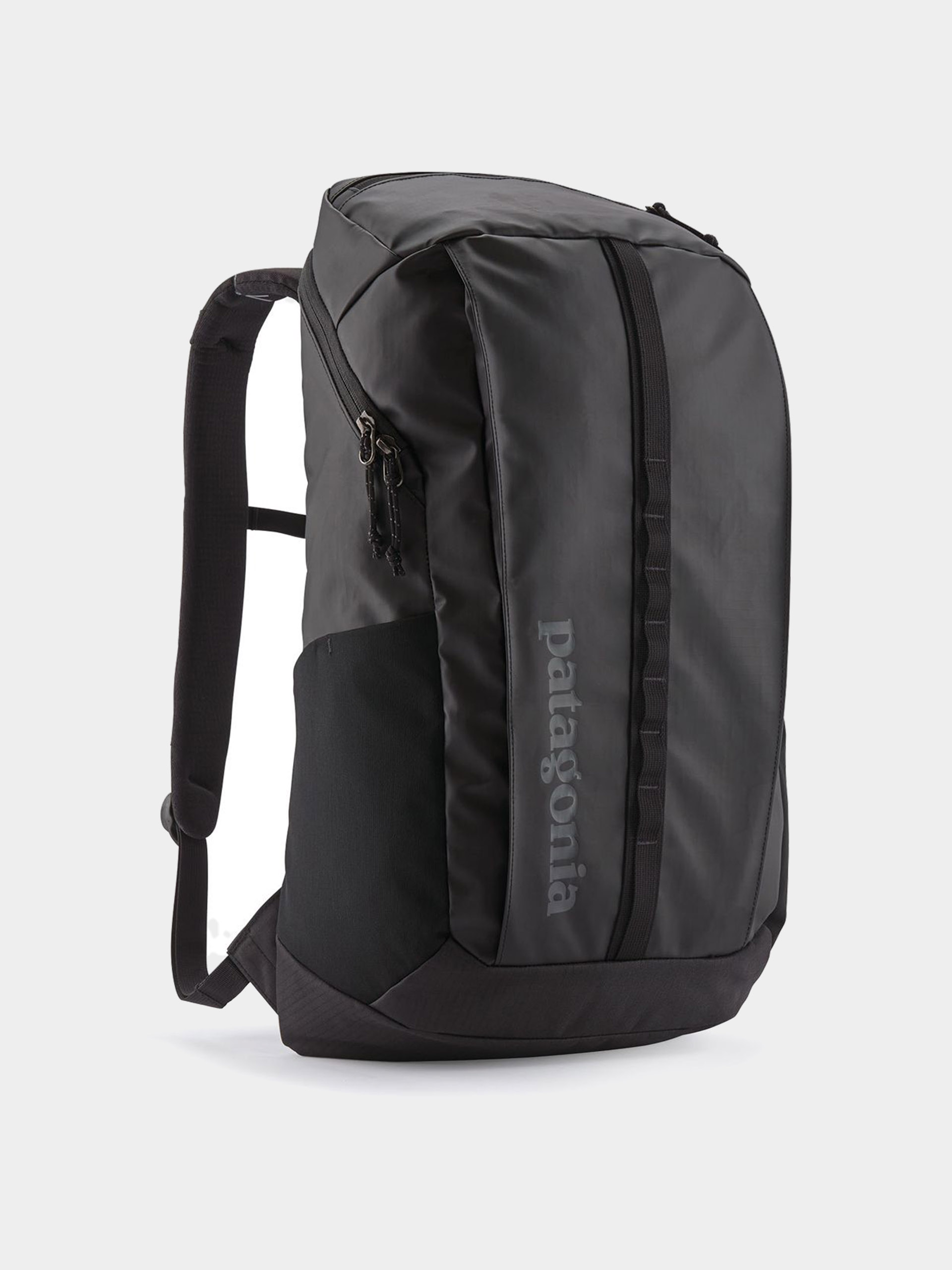 Hu00e1tizsu00e1k Patagonia Black Hole Pack 25L (black w/black)