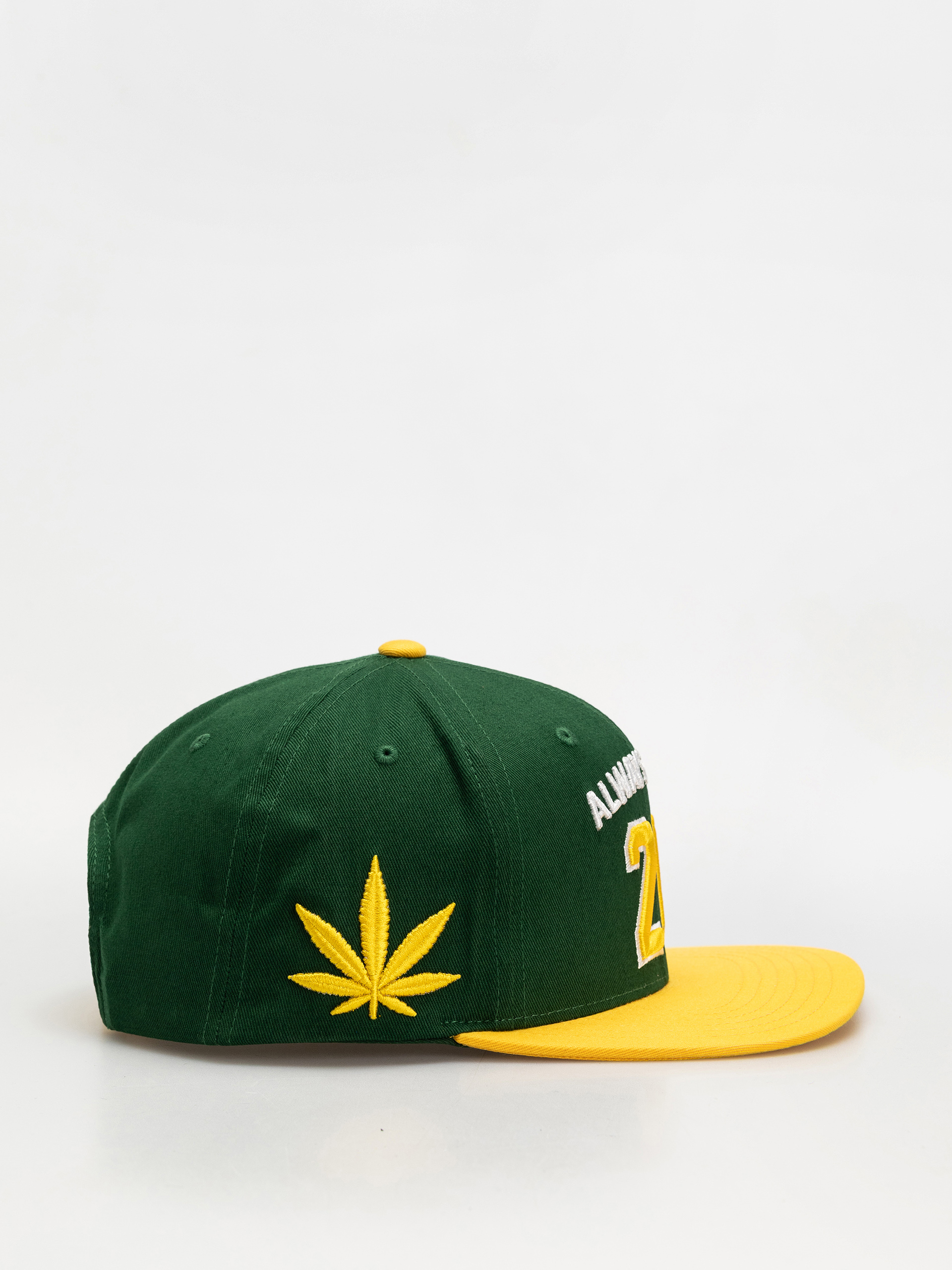 Baseball sapka DGK Team Indica Snap (green)