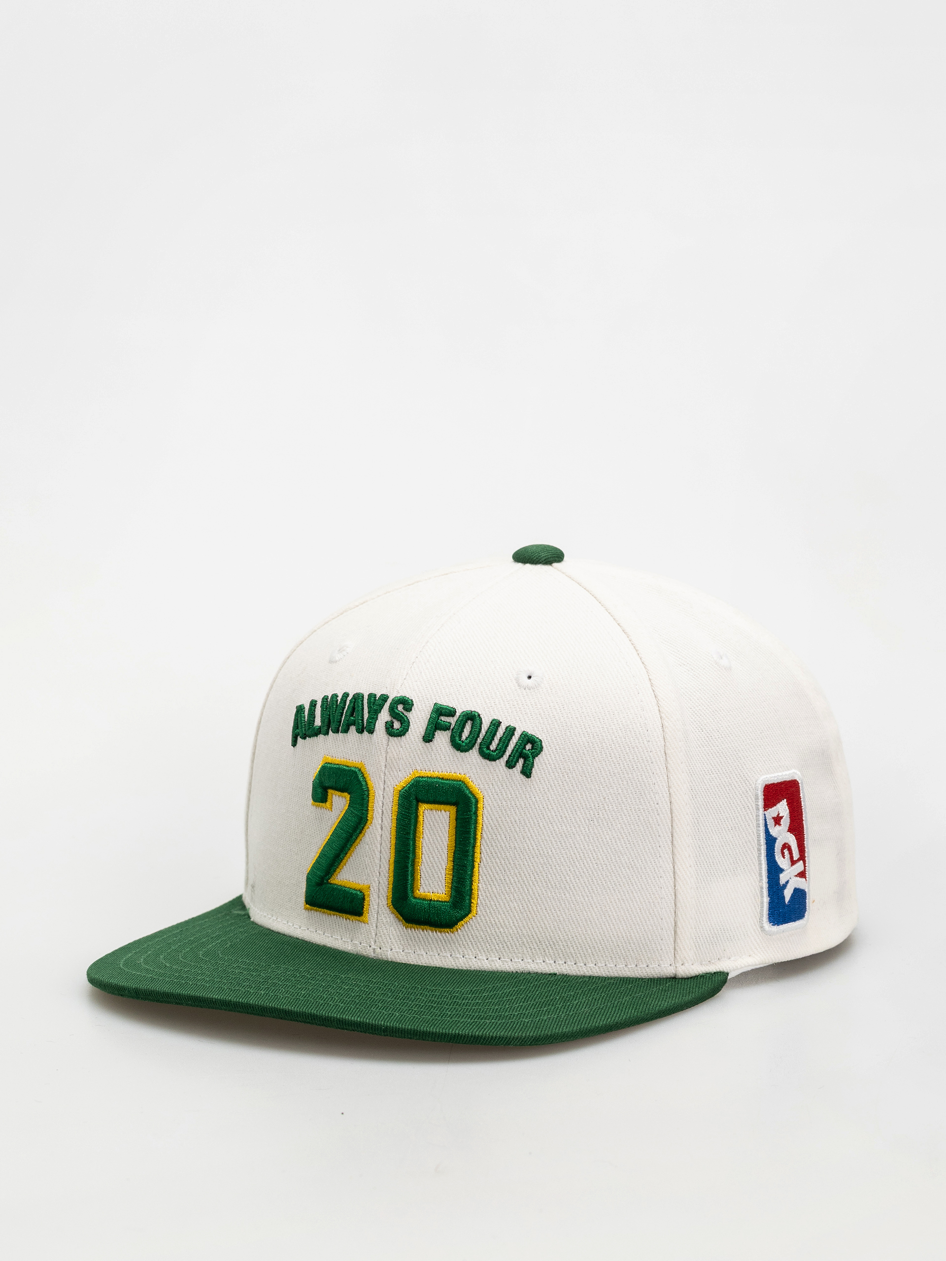 Baseball sapka DGK Team Indica Snap (white)