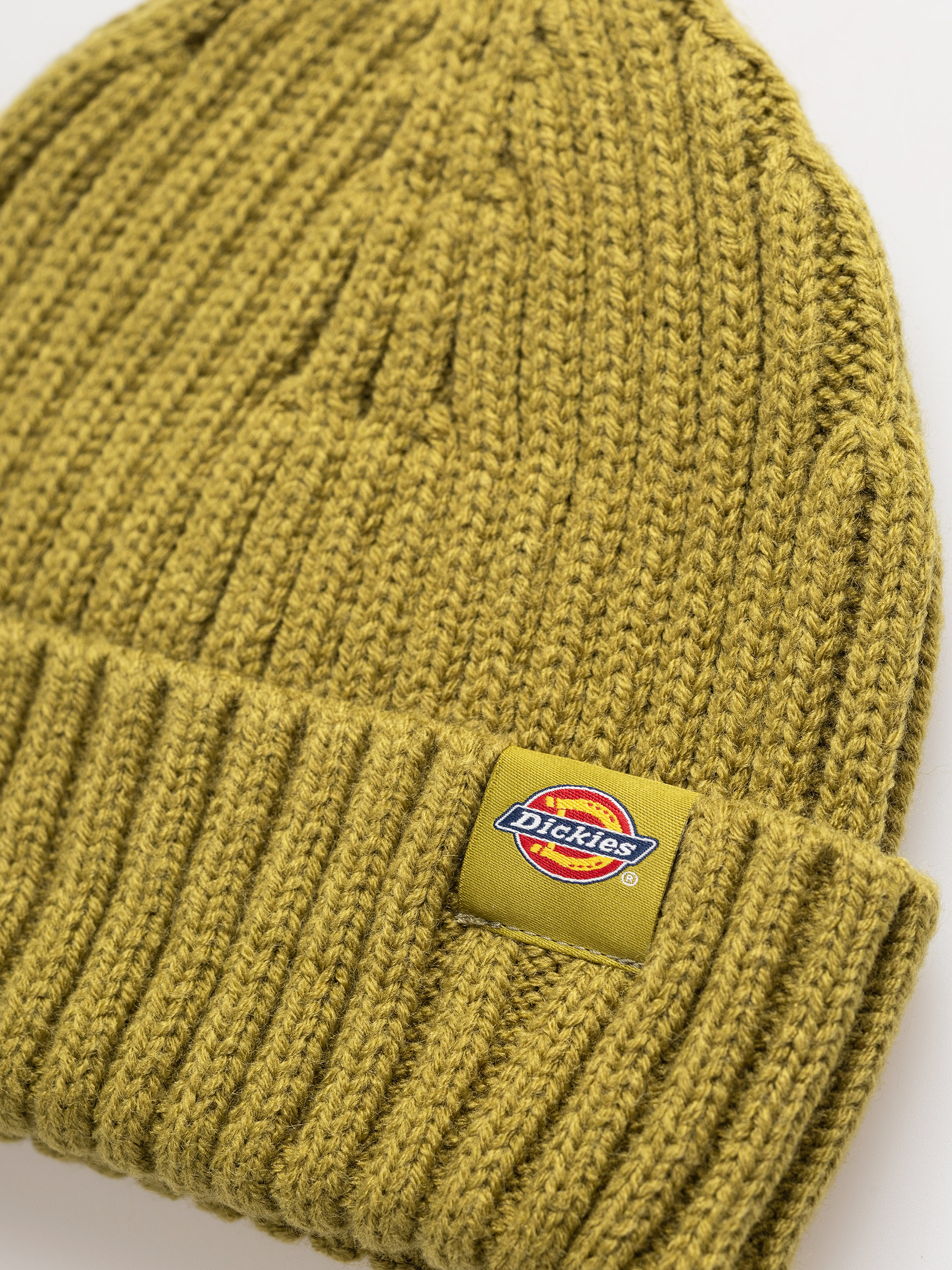 Dickies Lockwood Sapka (evergreen sprig)