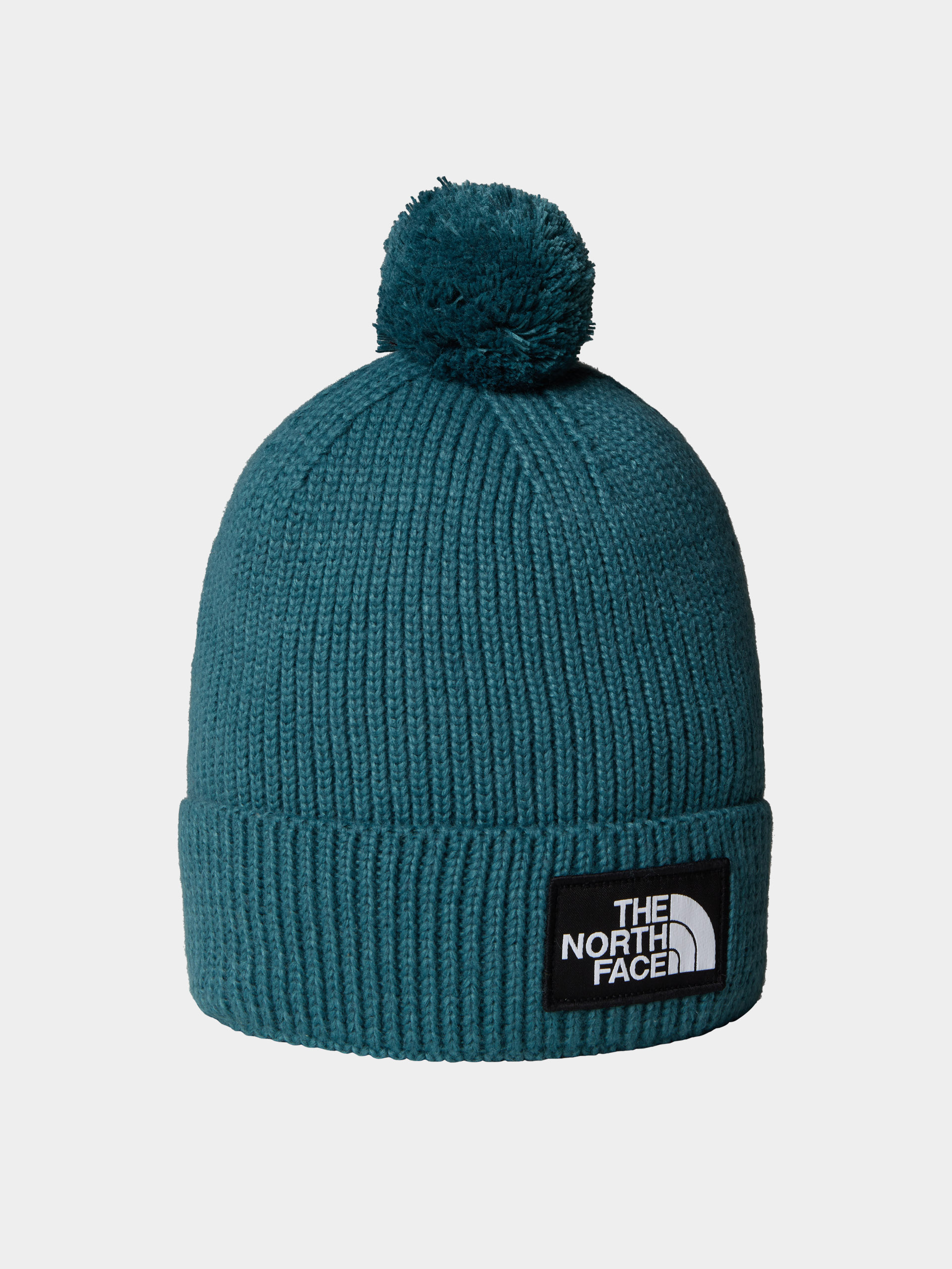 Sapka The North Face Tnf Logo Box Pom (space)