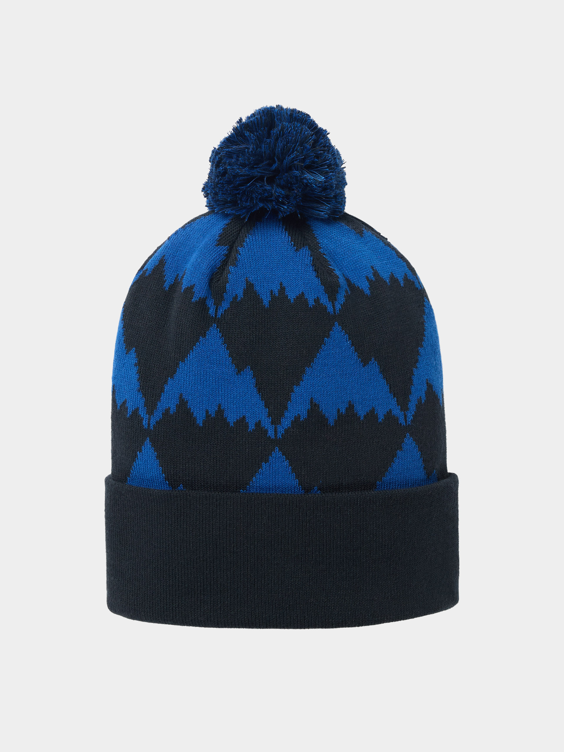 Burton Recycled Trope Sapka (jake blue mountains)