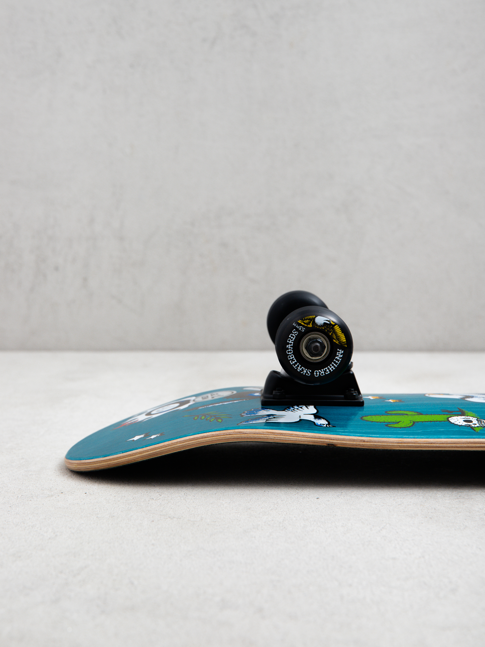 Antihero No Regerts Komplett gördeszka