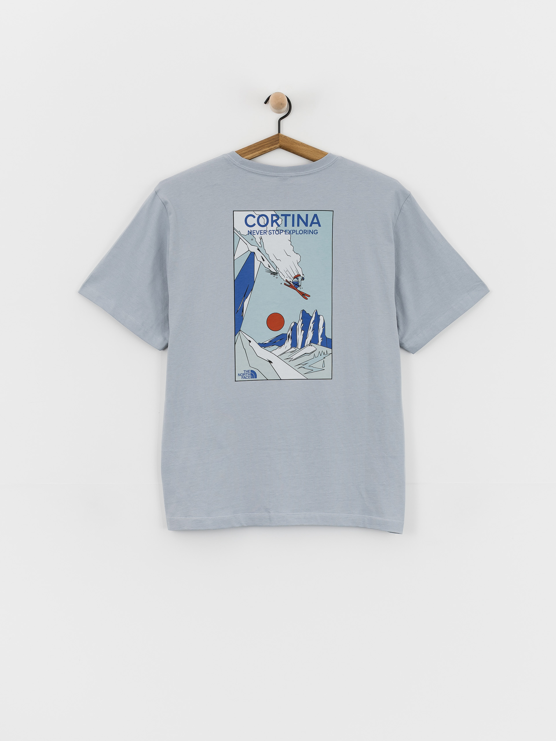 The North Face Mountain Celebration Póló (frost grey)