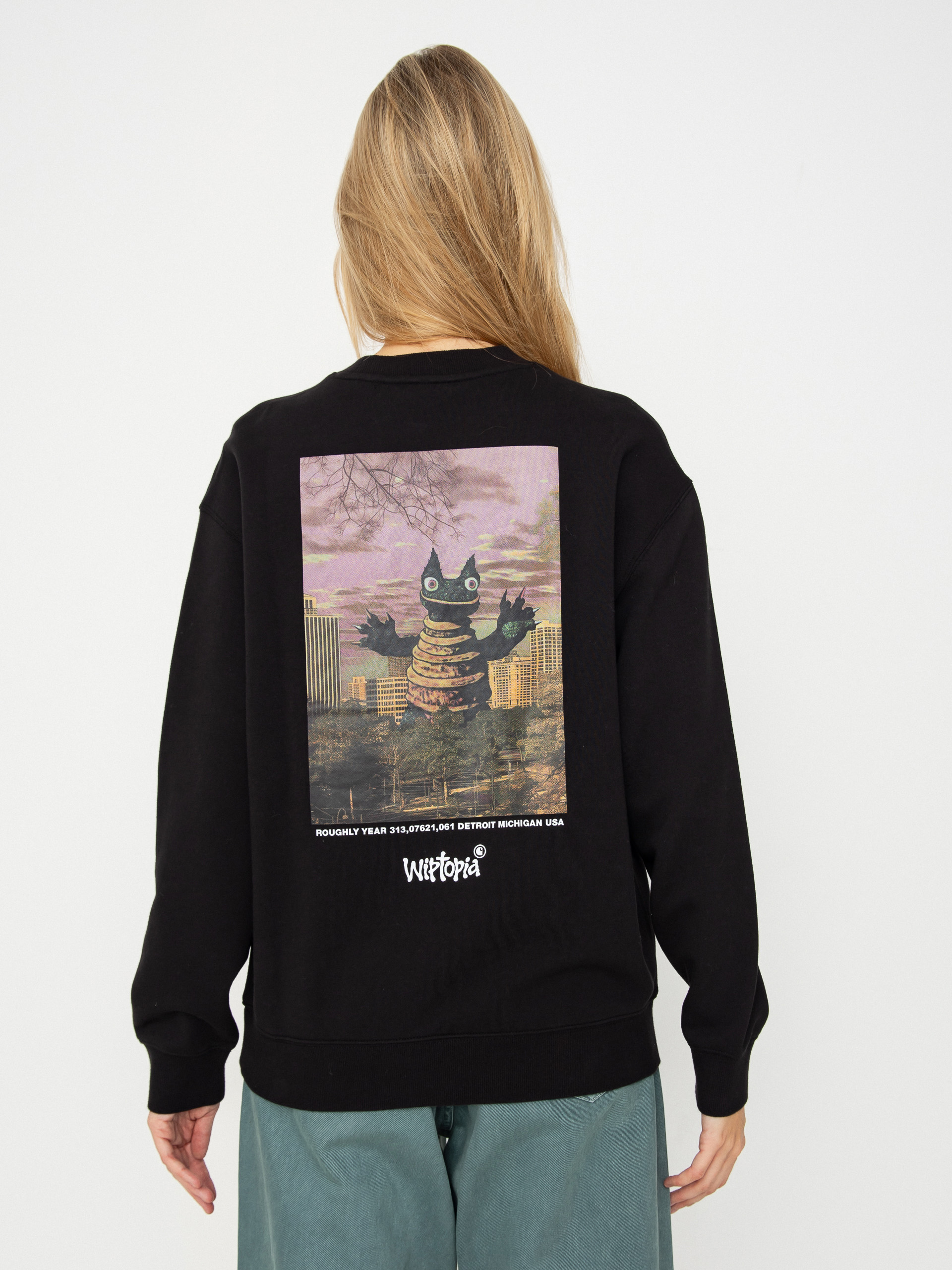 Carhartt WIP Wiptopia Script Wmn Pulóver (black/dark grey)