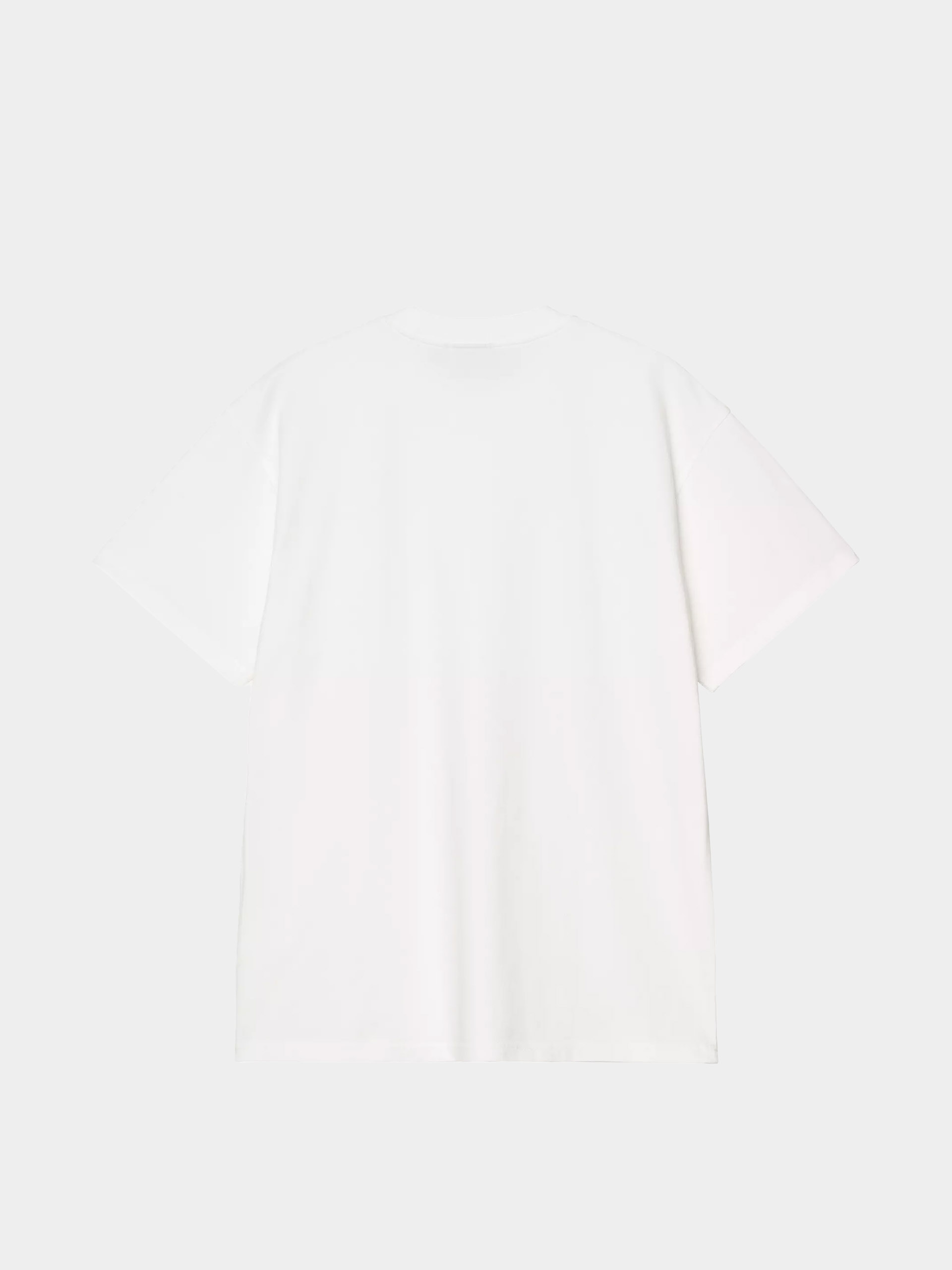 Póló Carhartt WIP Pond Corps Pocket (white)