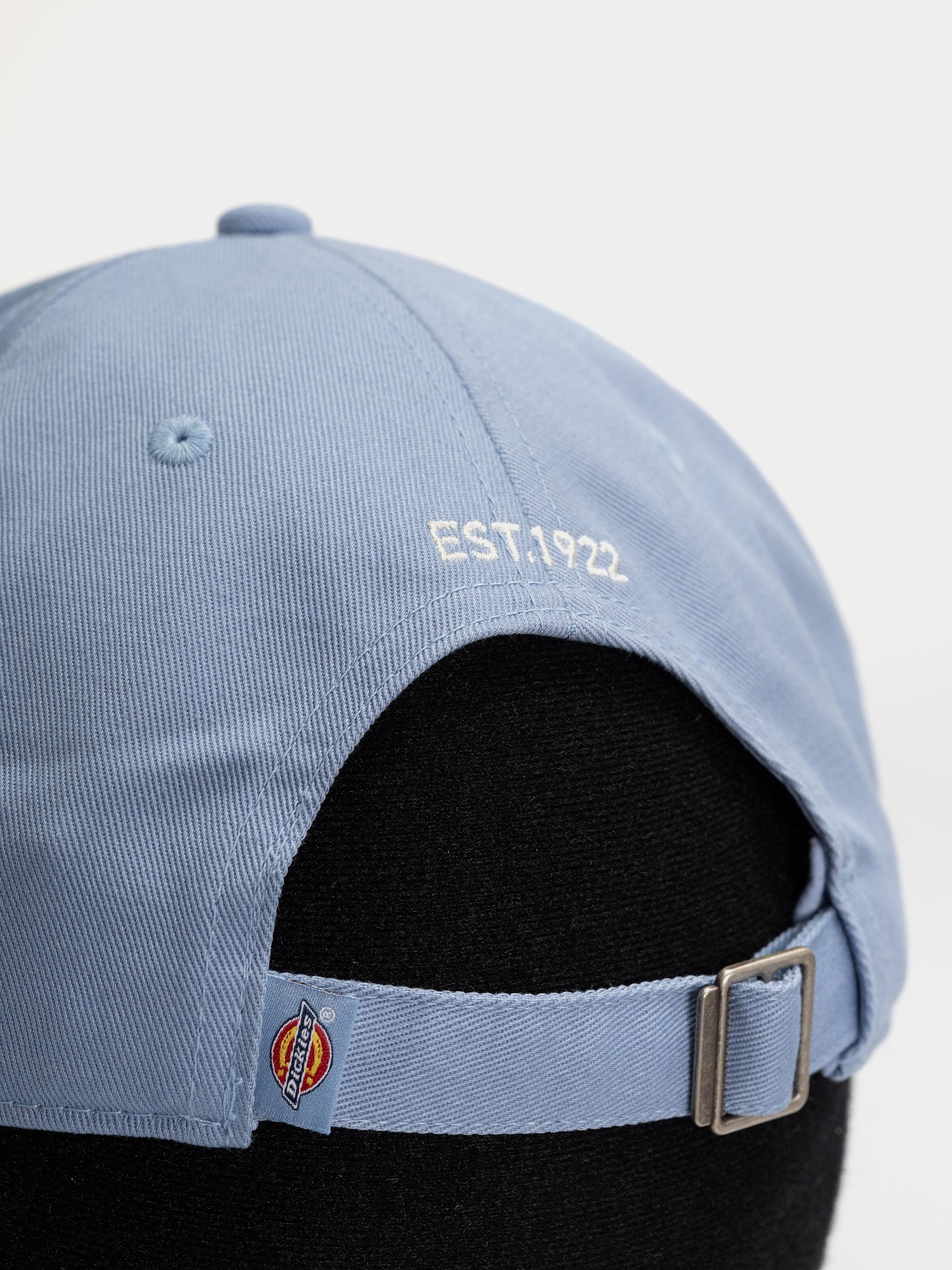 Dickies Essential Dad Baseball sapka (endless sky)