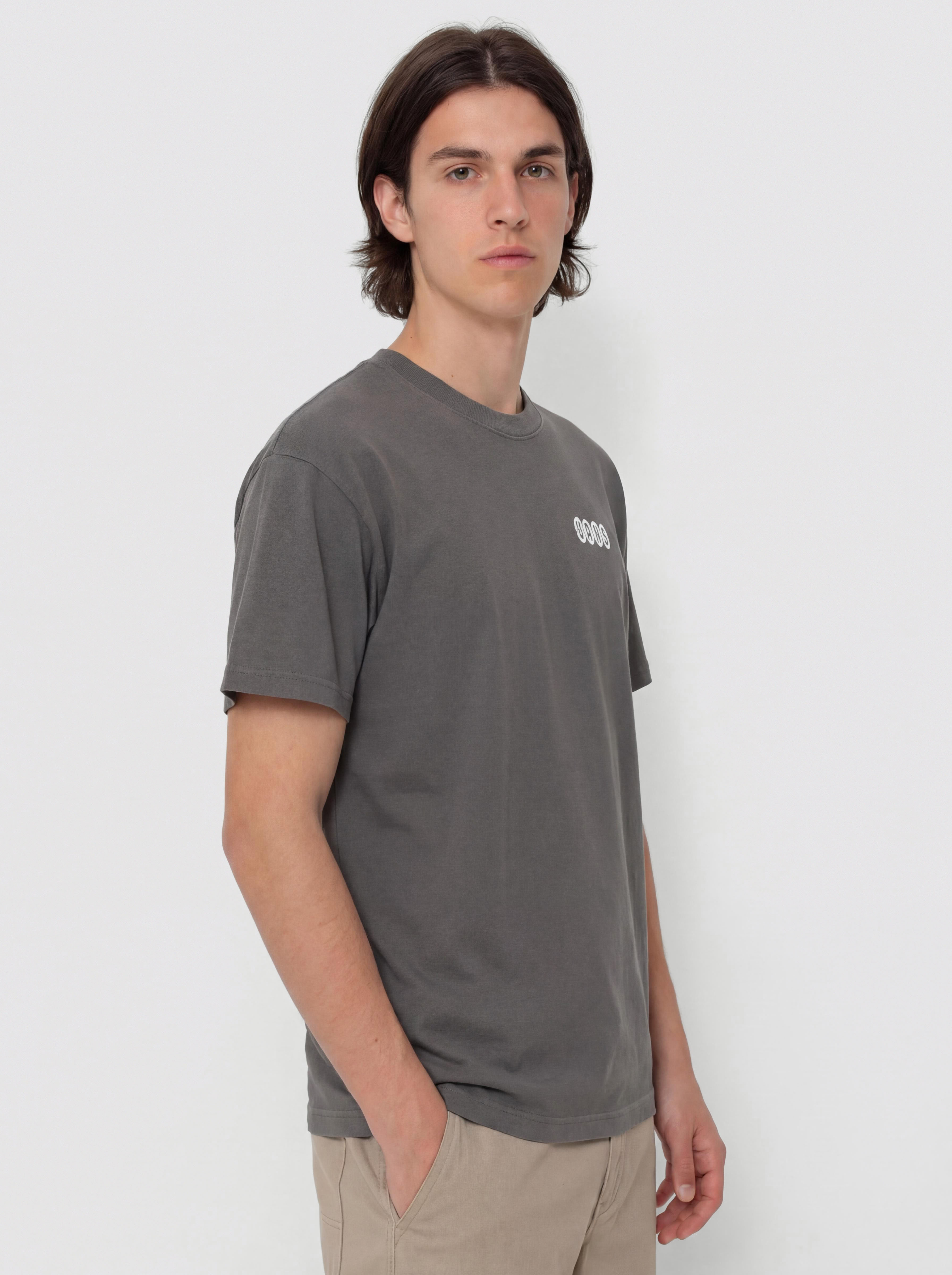 Vans Earthbound Loose Fit Póló (mountain essentials asphalt)