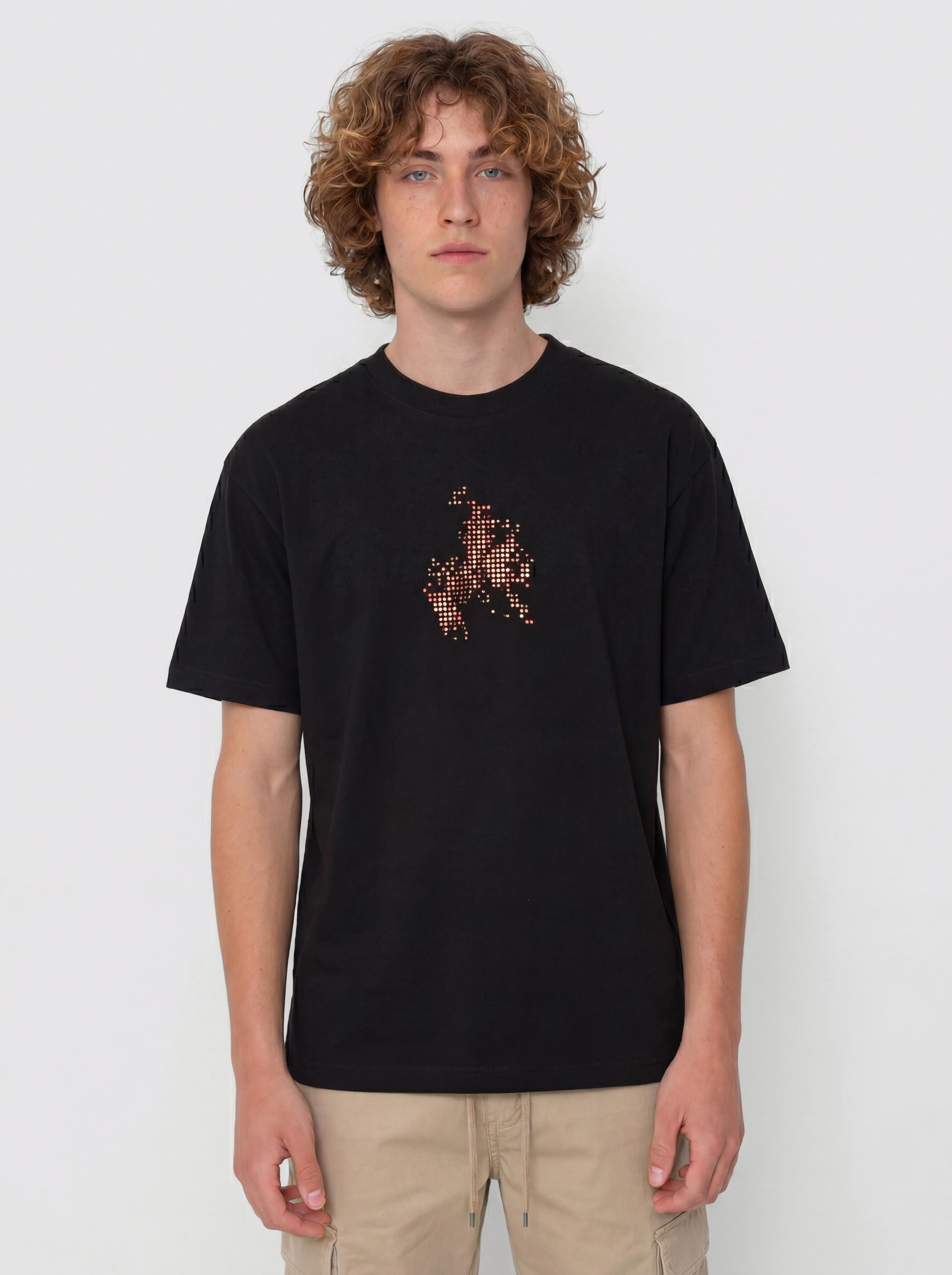 Vans Skate Flame Póló