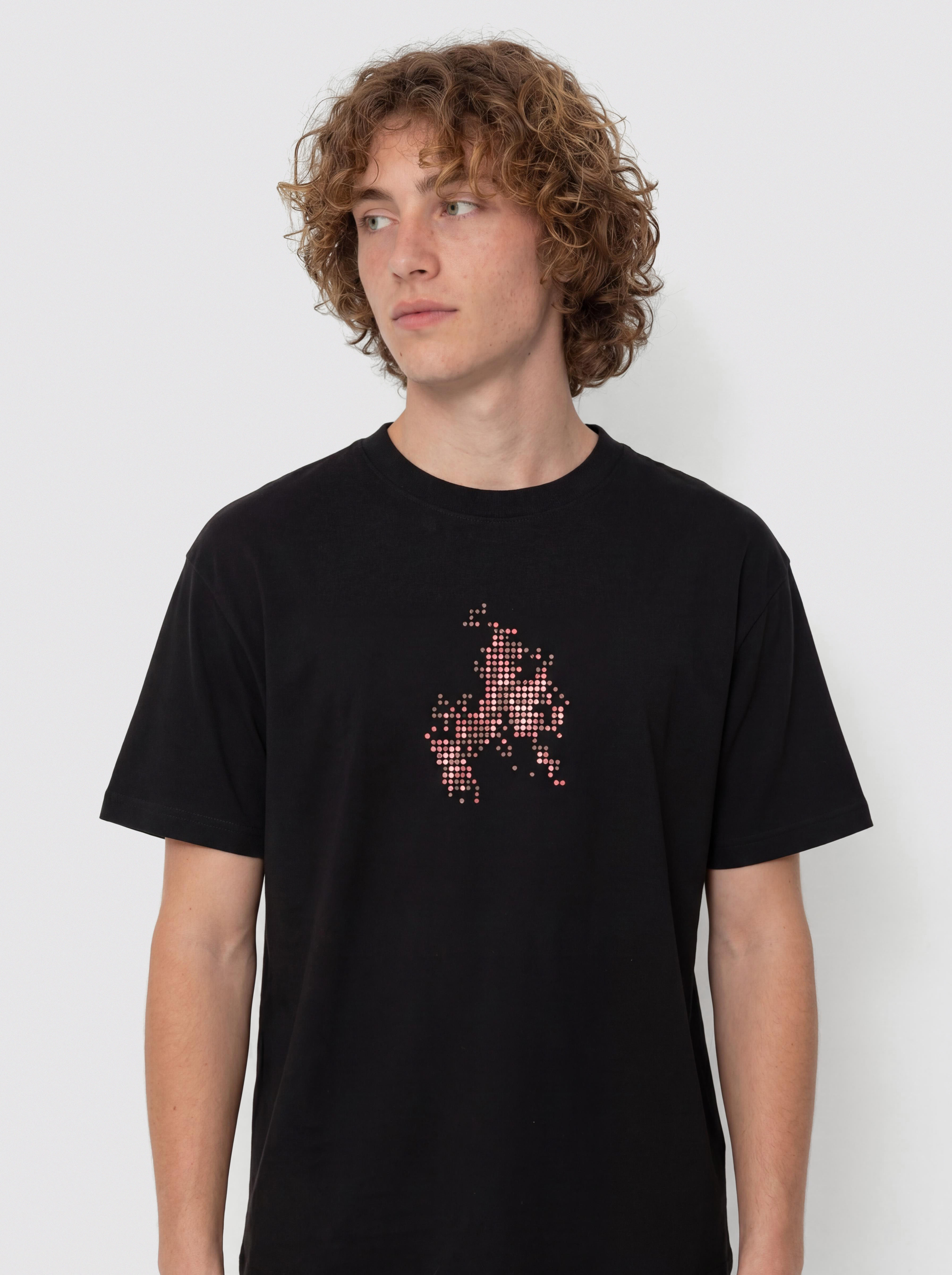 Vans Skate Flame Póló (black)