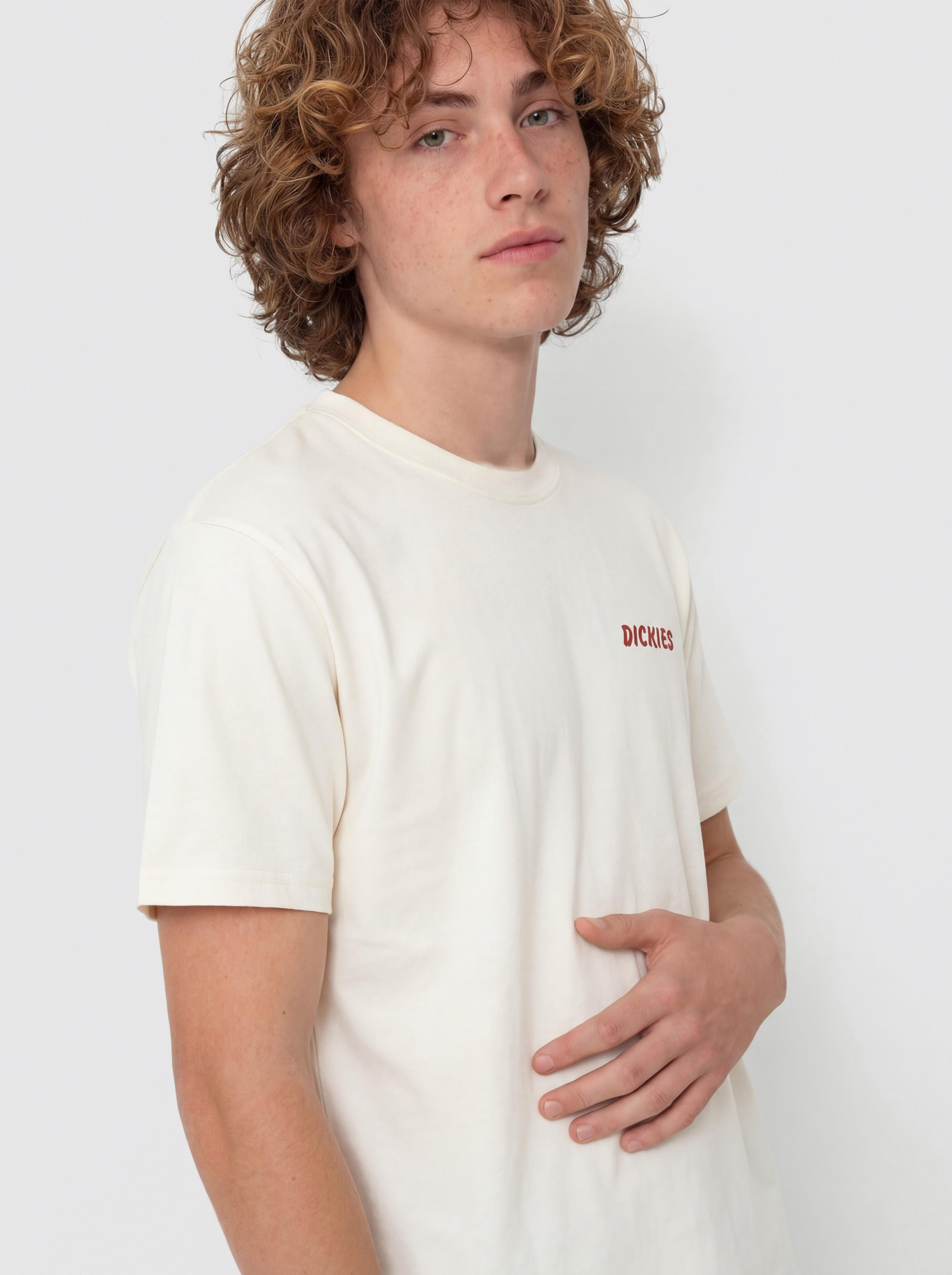Dickies Dry Ridge Póló (egret)