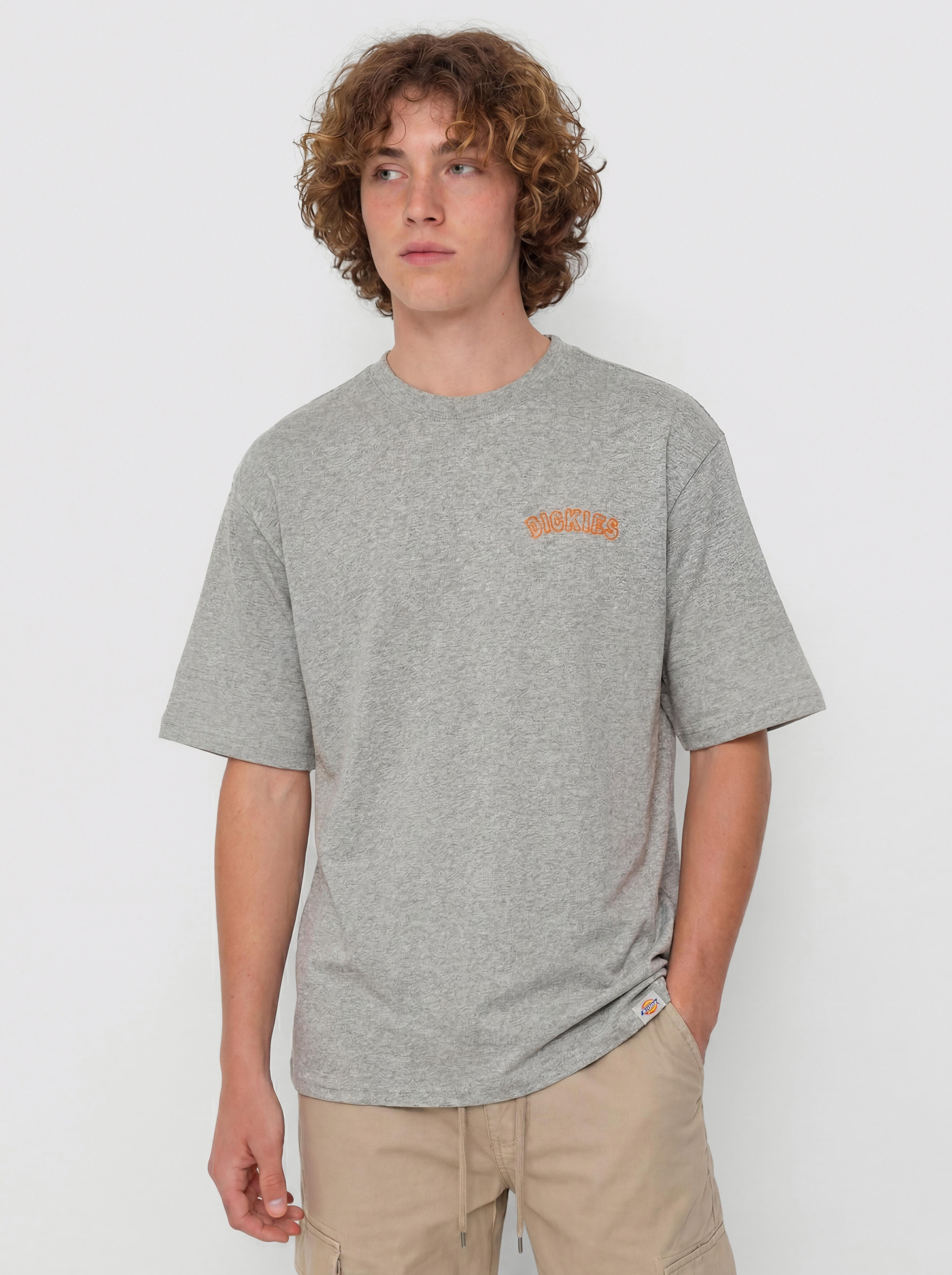 Dickies Decartuville Póló (grey melange)