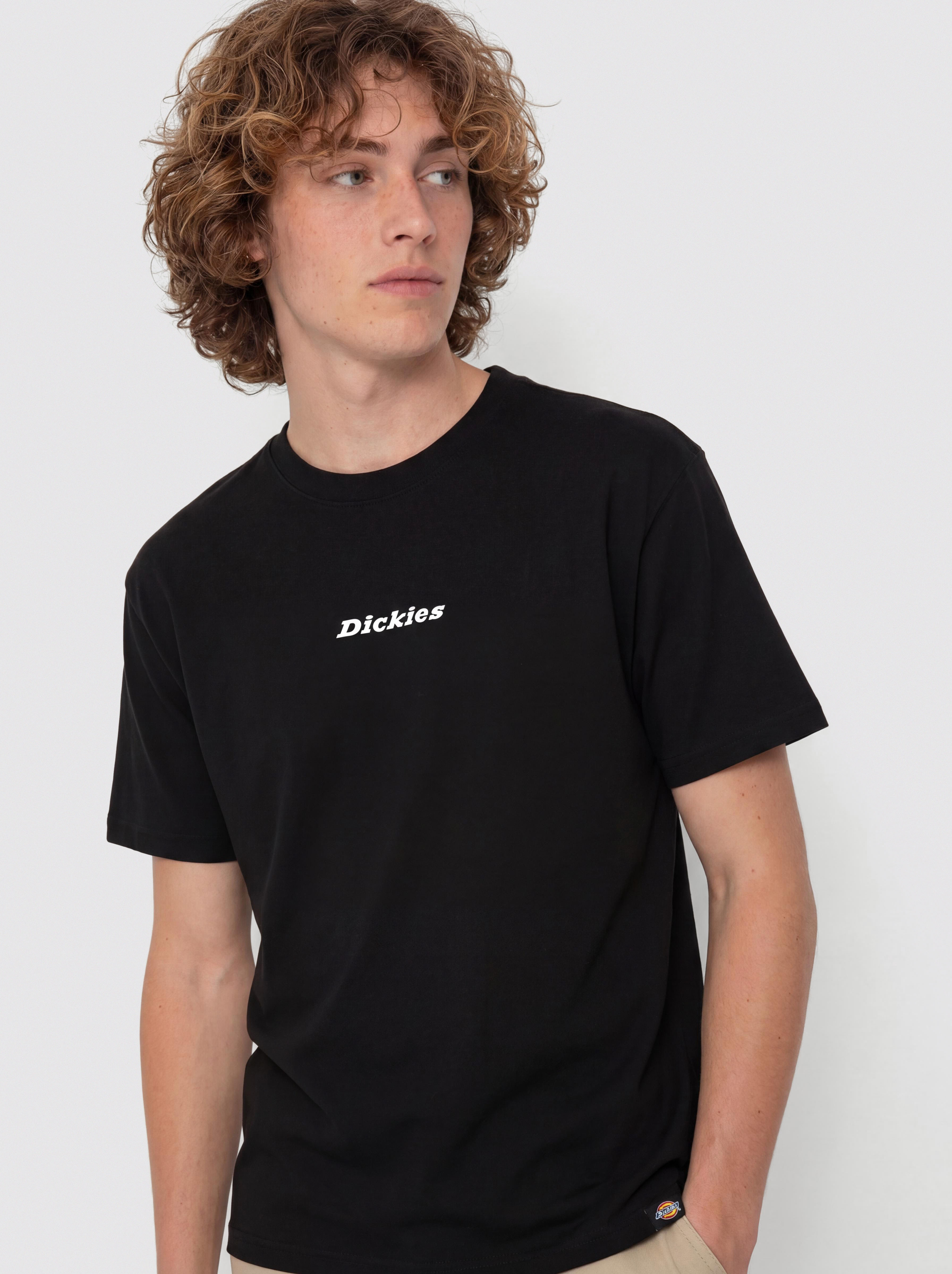 Dickies Enterprise Pu00f3lu00f3 (black)