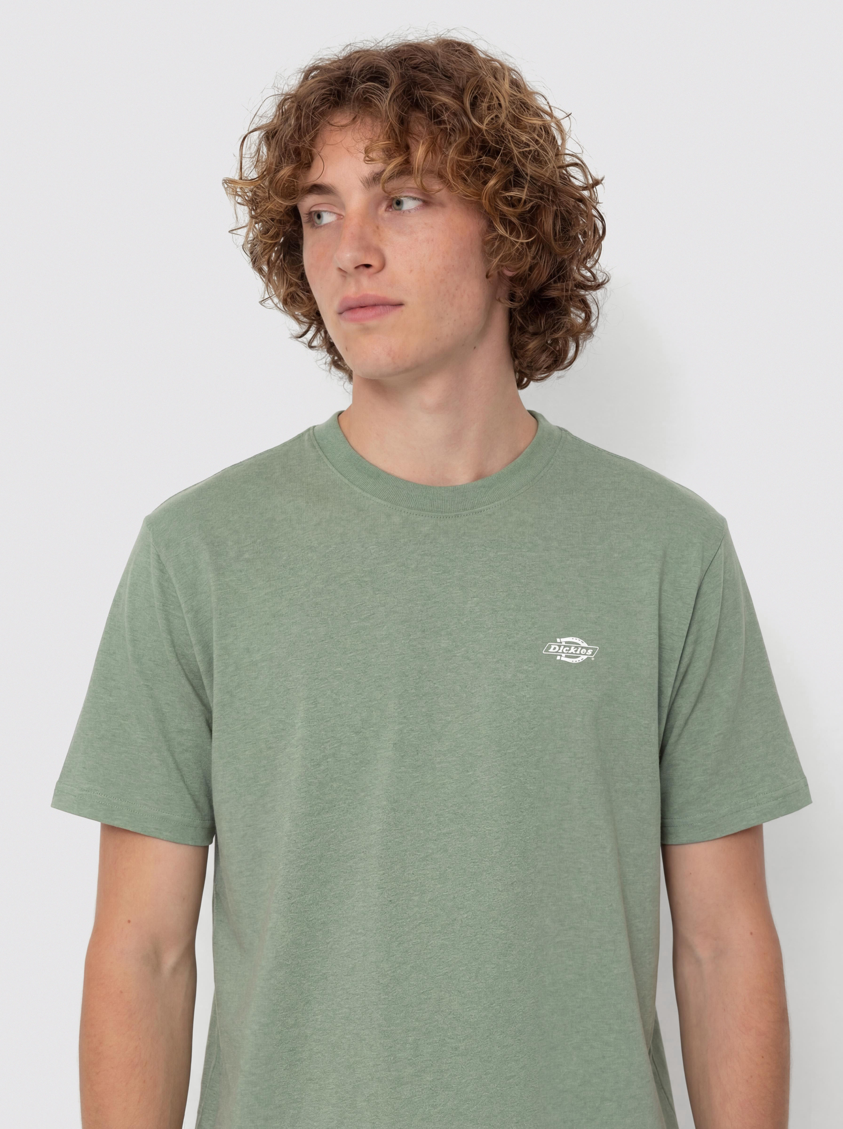 Dickies Summerdale Póló