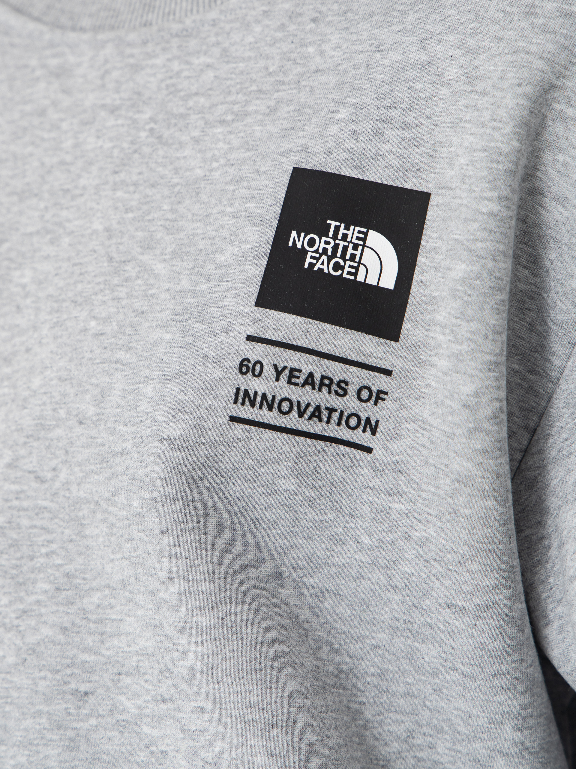 The North Face Tnf Celebration Relaxed Crew Pulóver (tnflightgreyhtr)