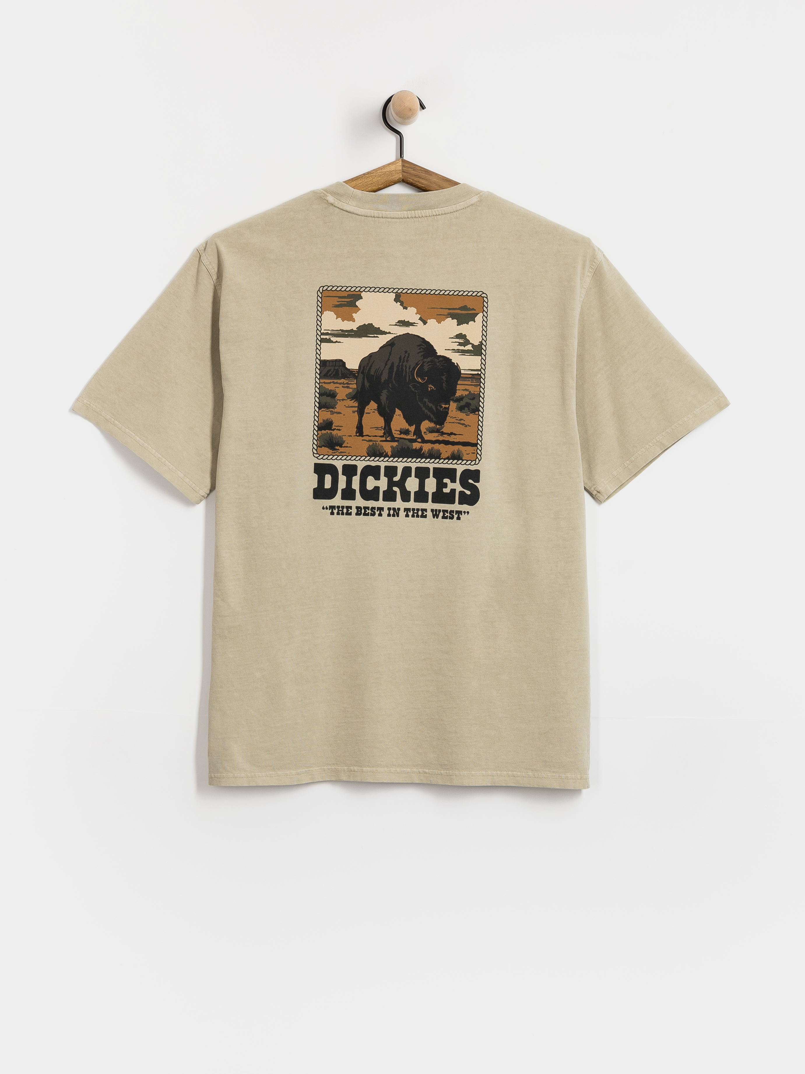 Dickies Darrtown Póló (eucalyptus)