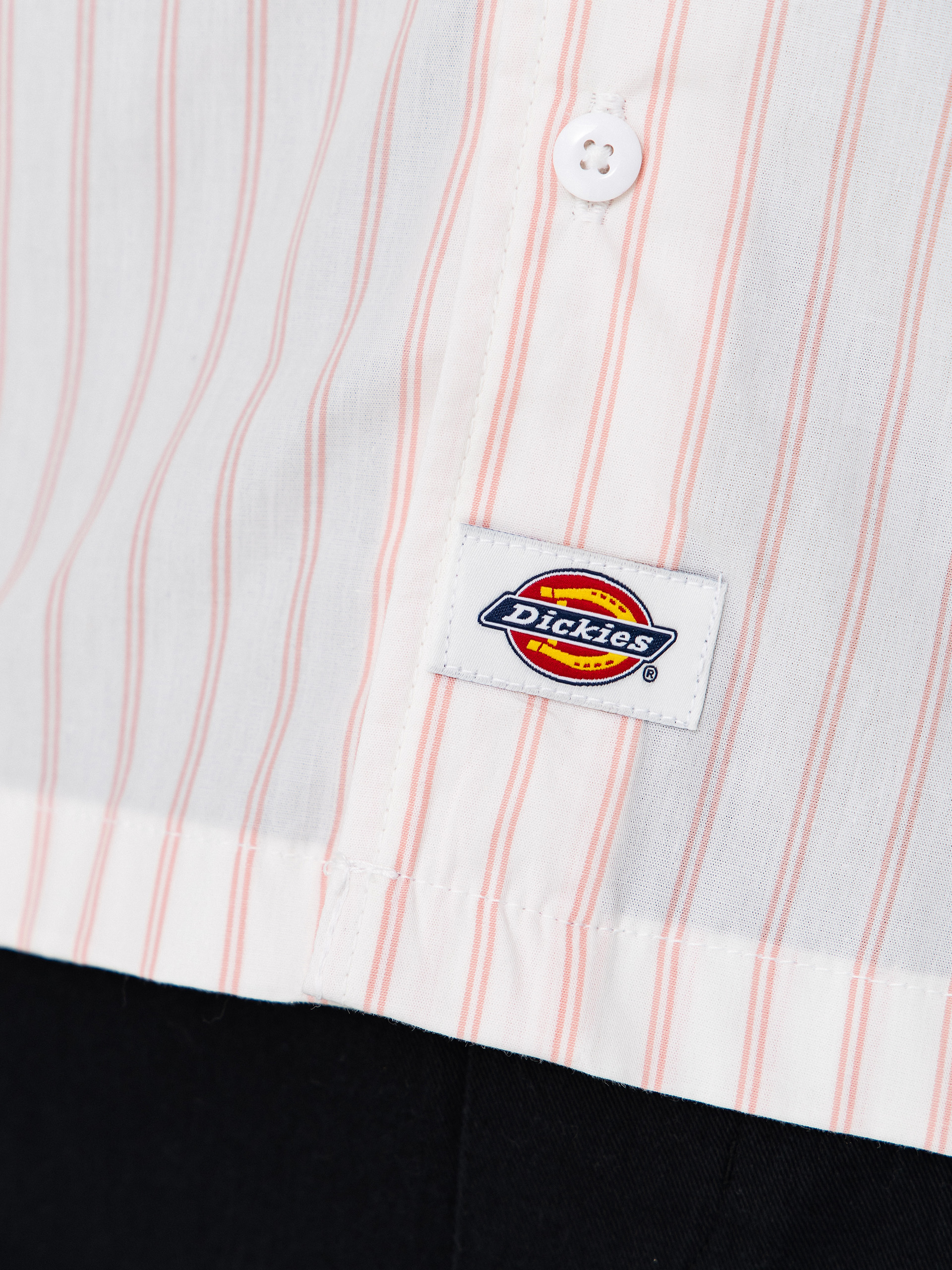 Dickies Venedocia Stripe Ing (white)