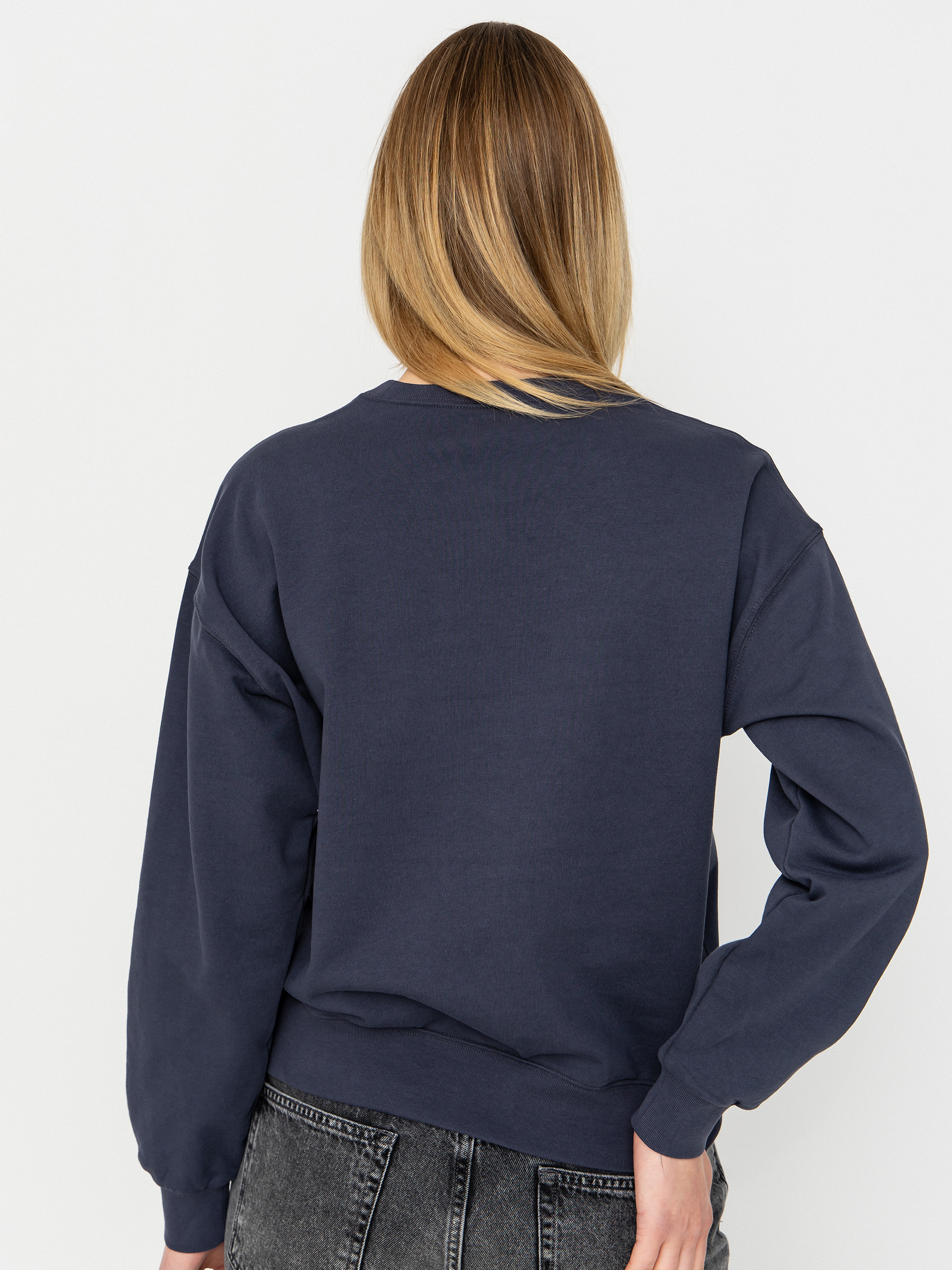 Patagonia 95 Oval Logo Daily Wmn Pulóver (smolder blue)