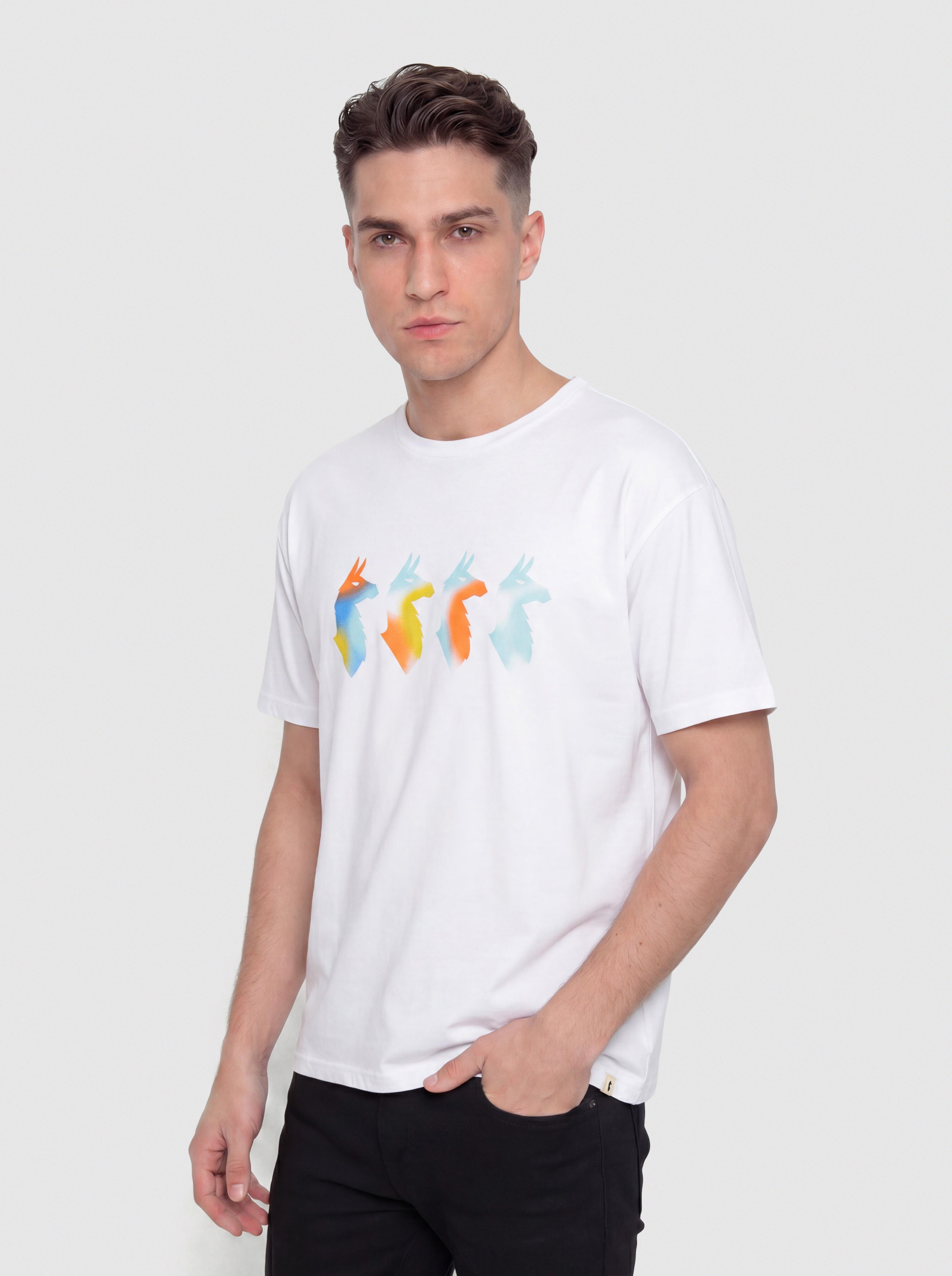 Cotopaxi Cuatro Bitmap Póló (white)