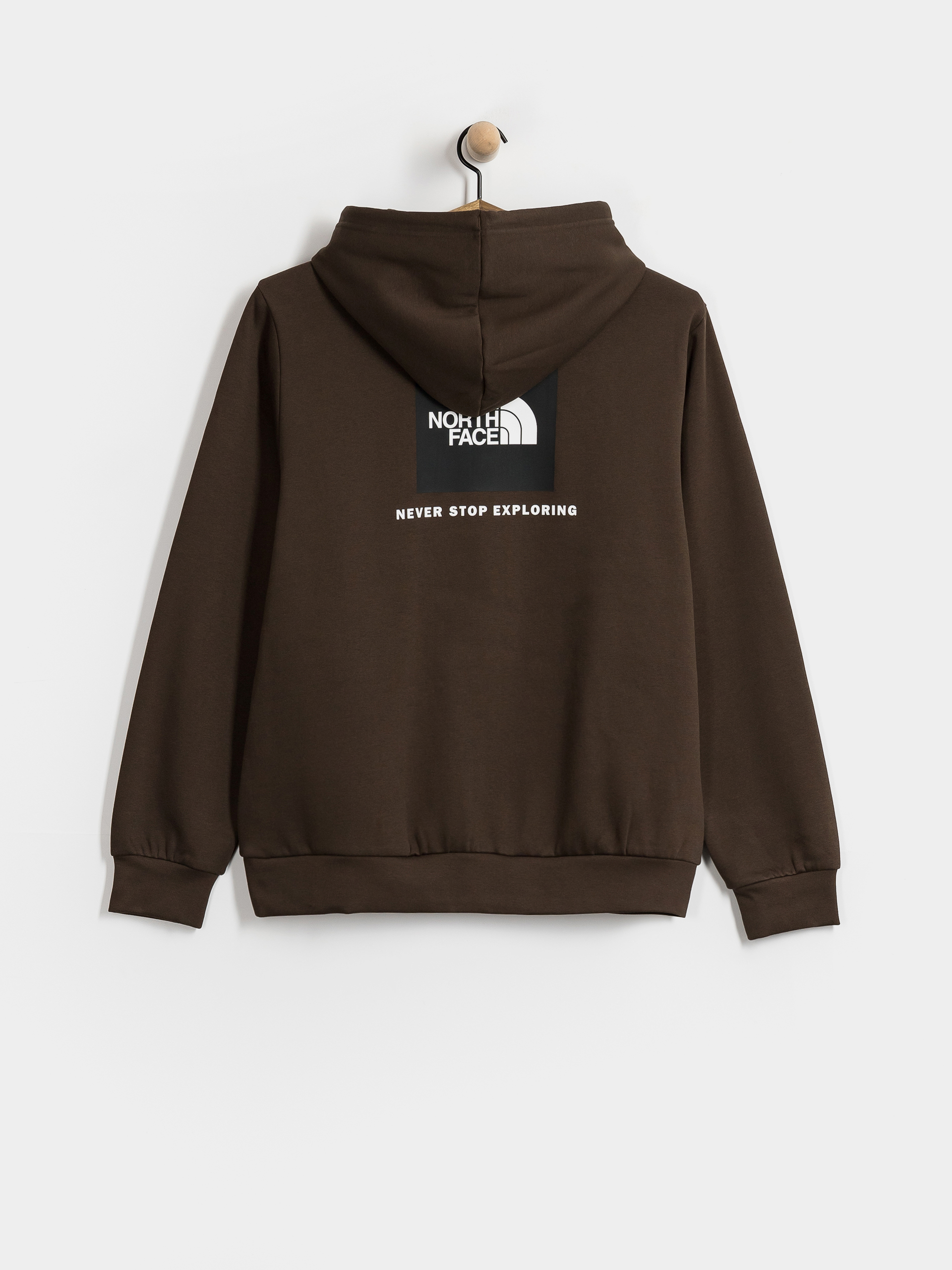The North Face Evolution Box Nse Regular HD Kapucnis pulóver (dark chestnut)