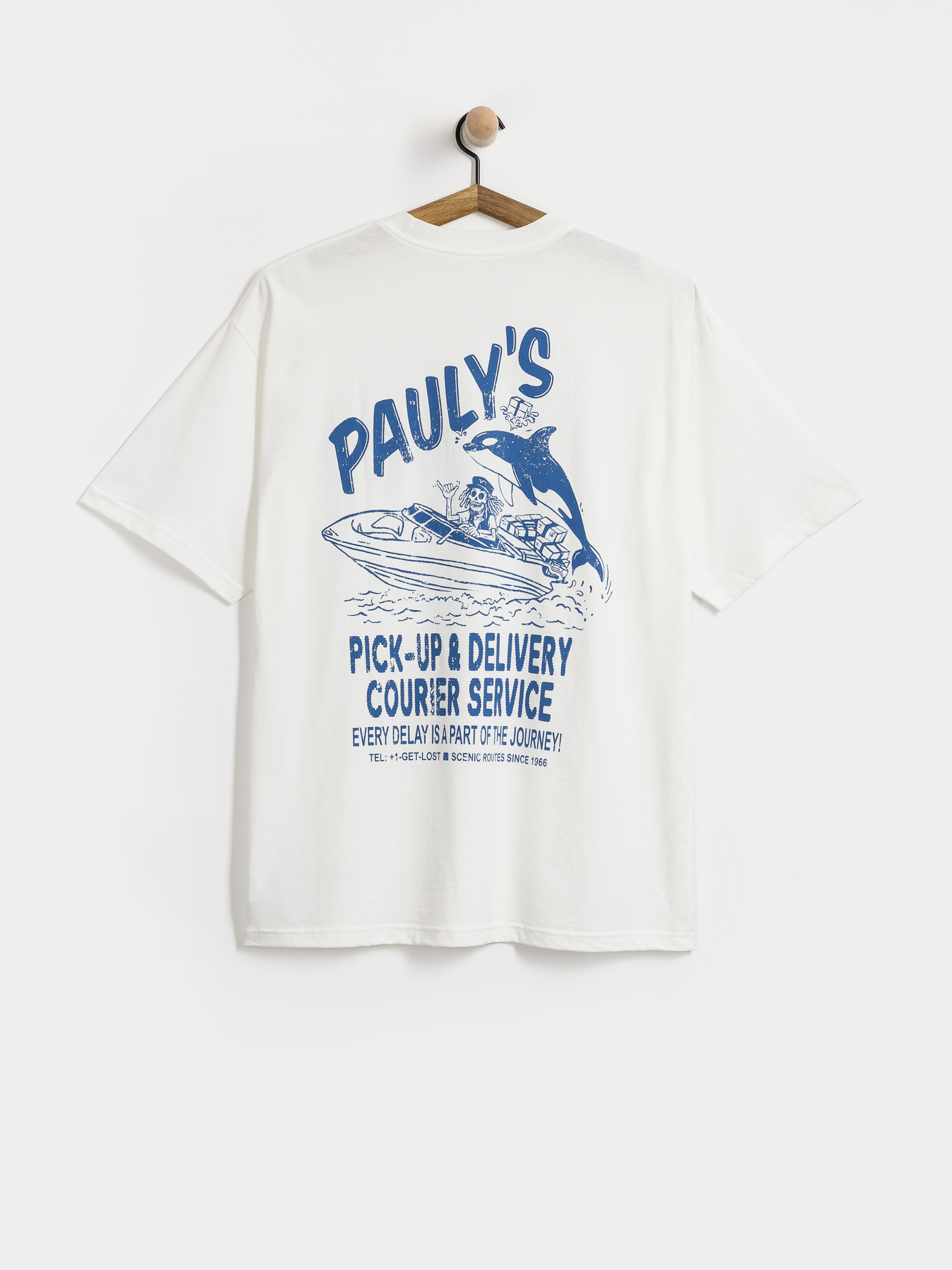 Vans PaulyS Delivery Pu00f3lu00f3 (white)
