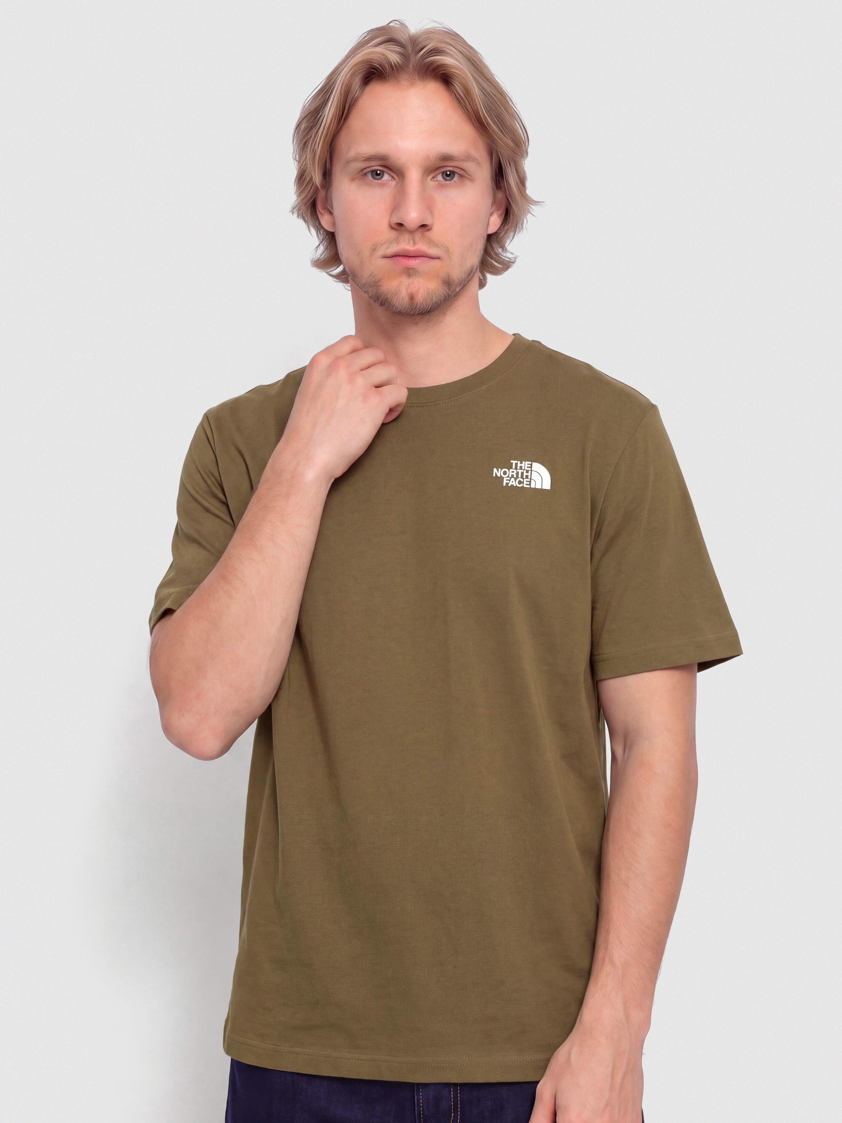 The North Face Evolution Box Nse Póló (caraway seed)