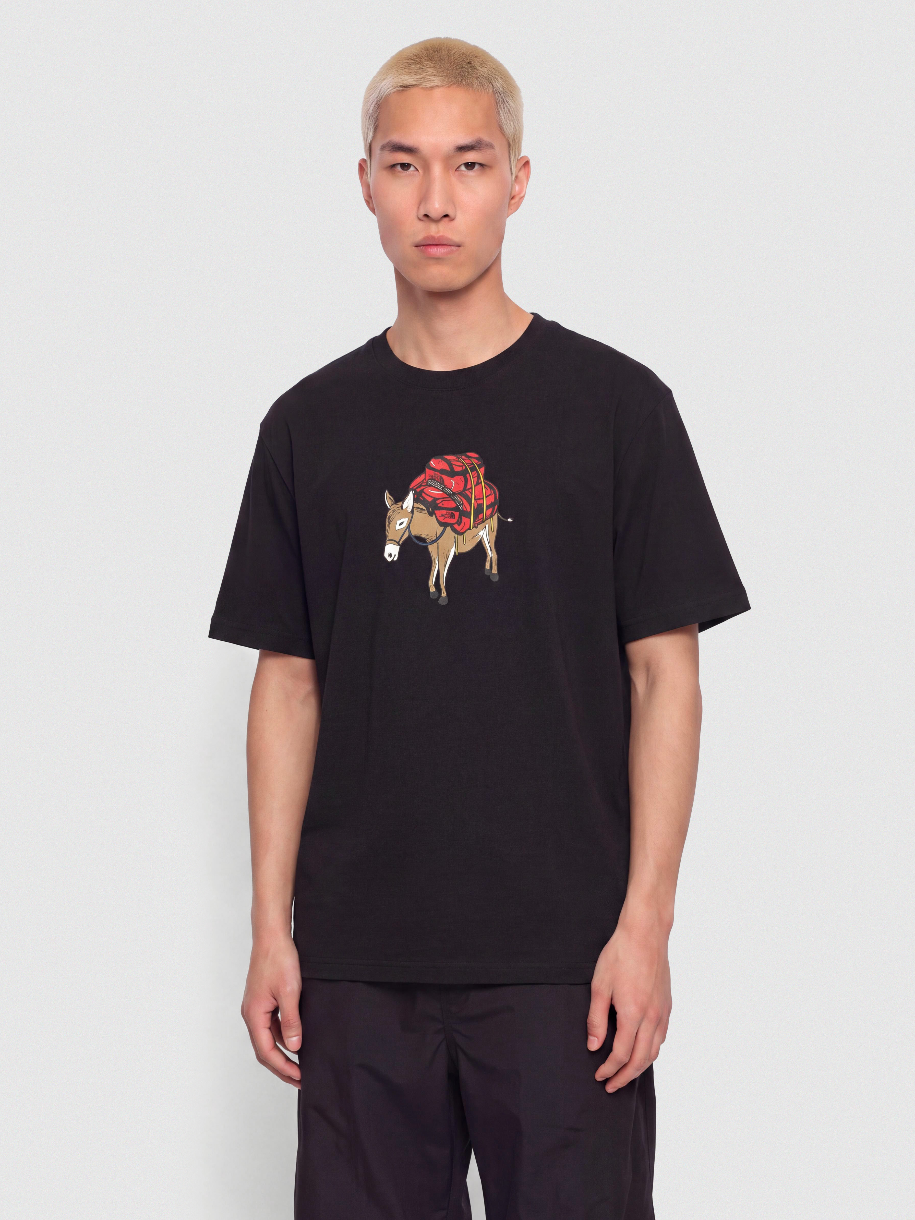 The North Face Donkey Taxi Relaxed Pu00f3lu00f3 (tnf black)