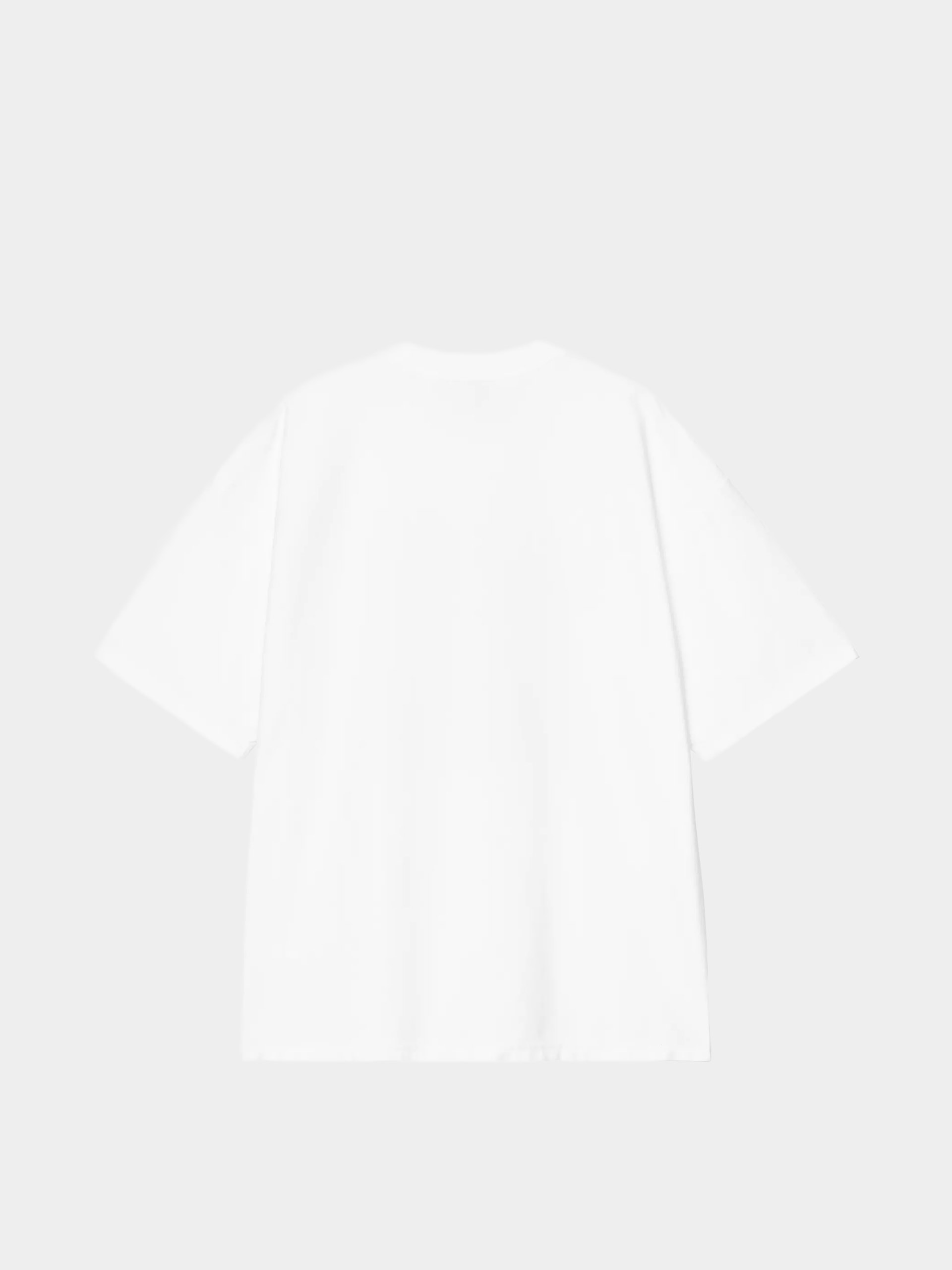 Póló Carhartt WIP 1989 Winners (white/heavy stone wash)