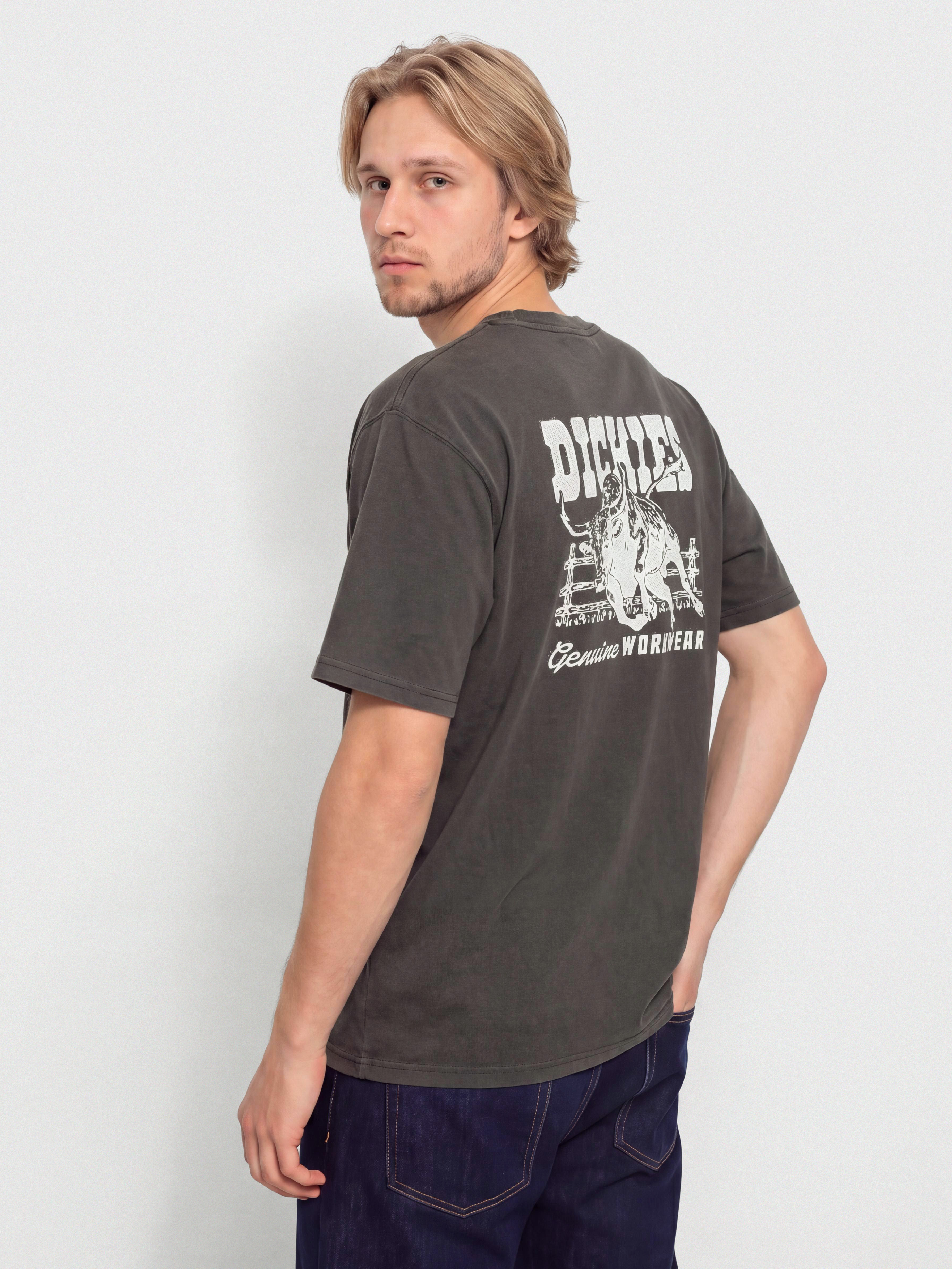 Dickies Buchtell Póló (black)