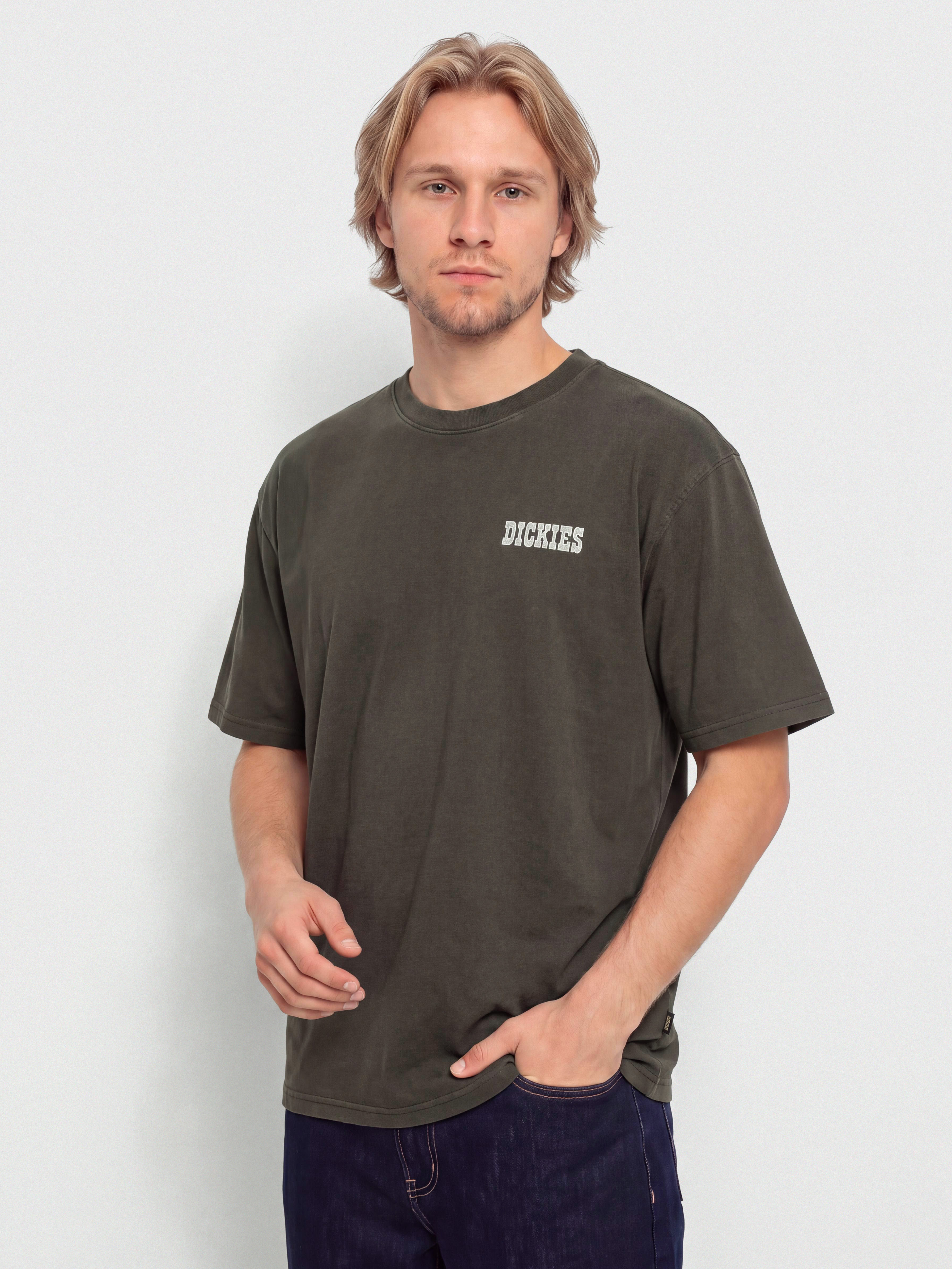 Dickies Buchtell Póló (black)